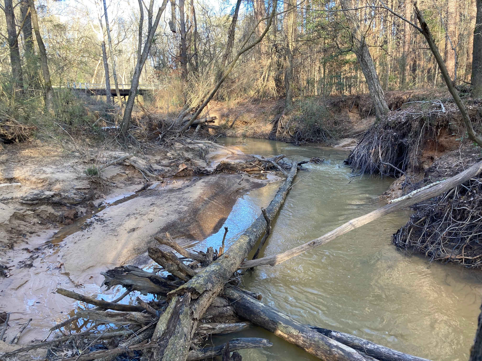 Timber Woods & Creek Resort