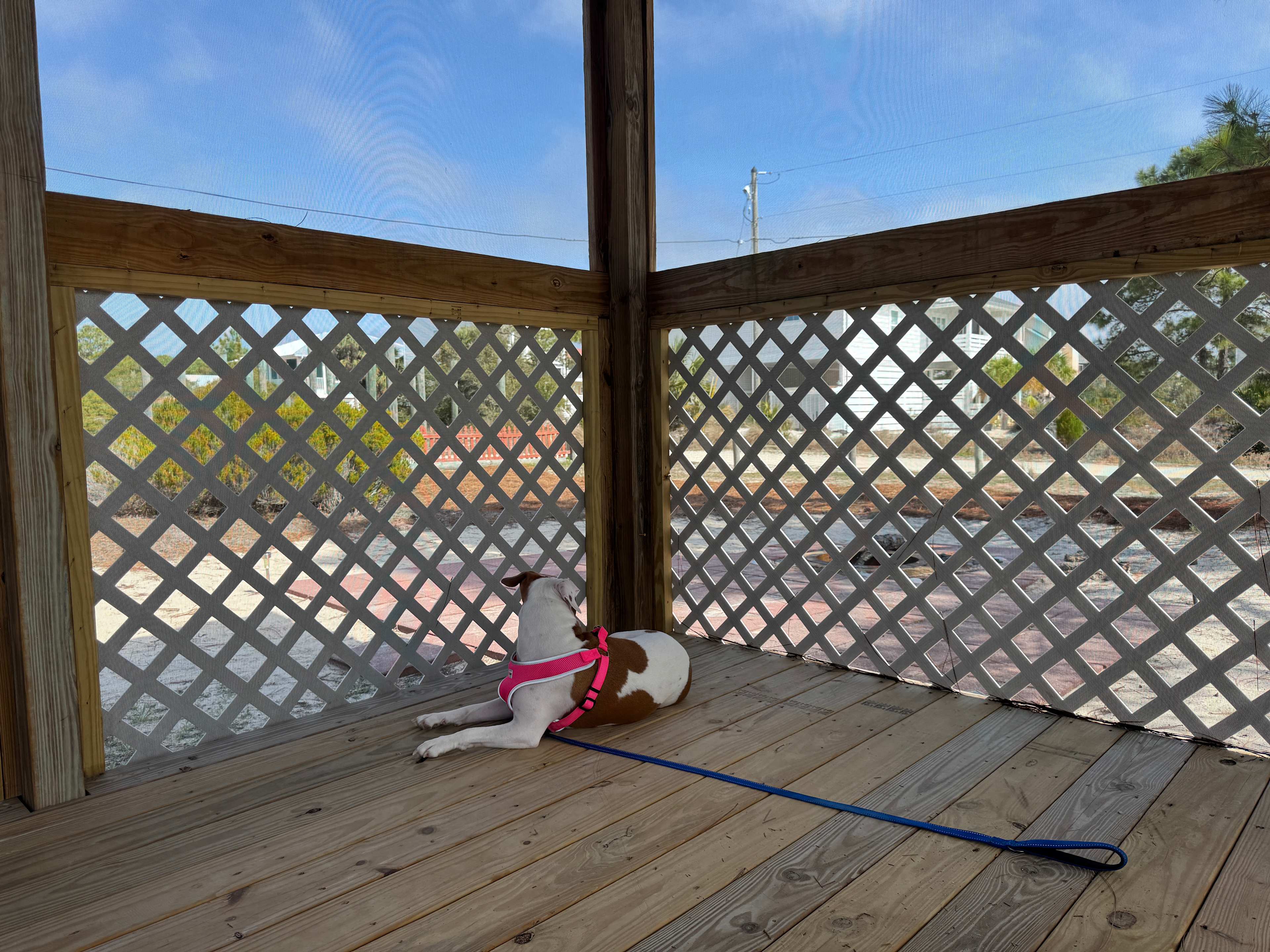 Enjoying the screened room