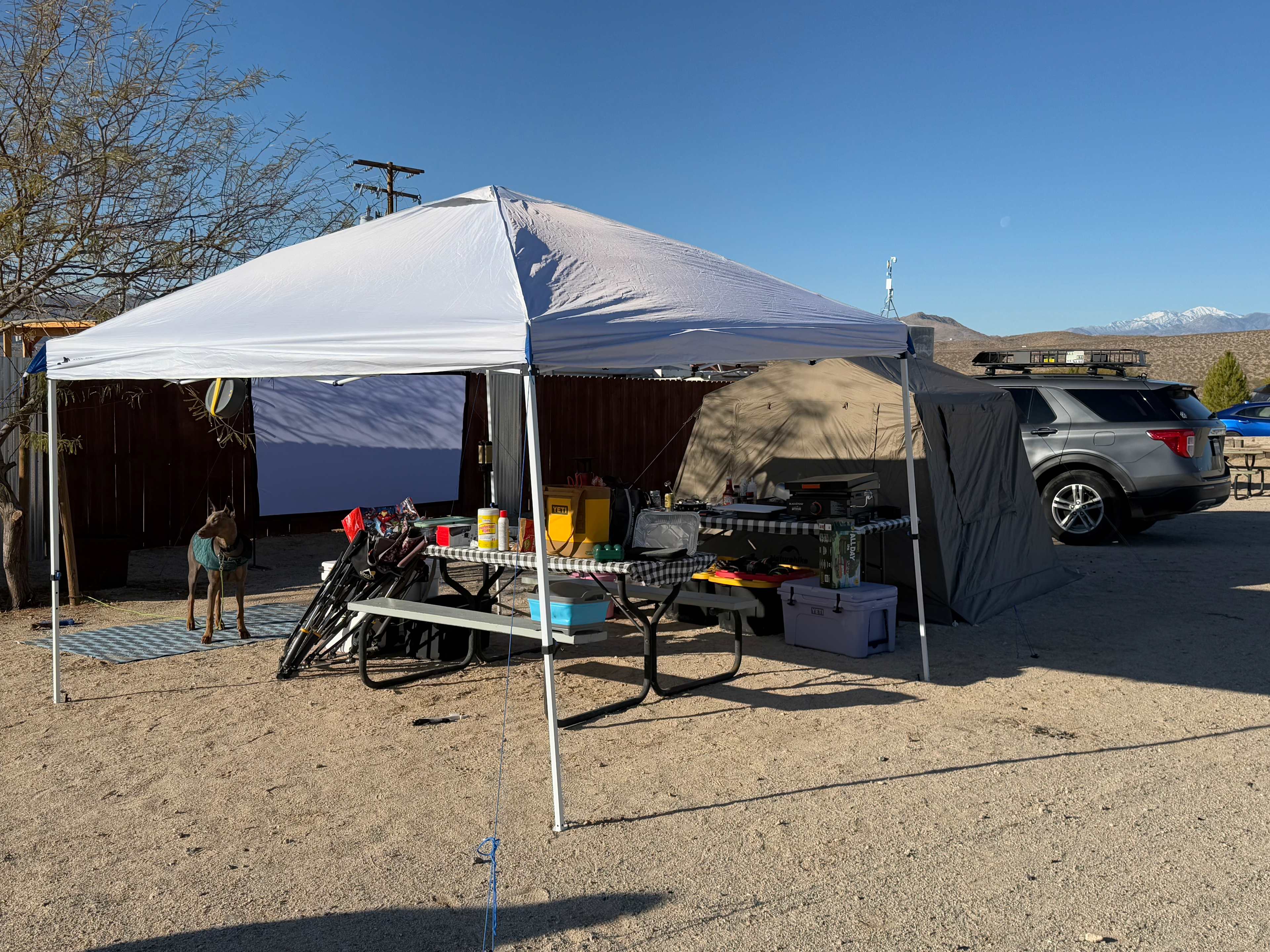 Picture of the site