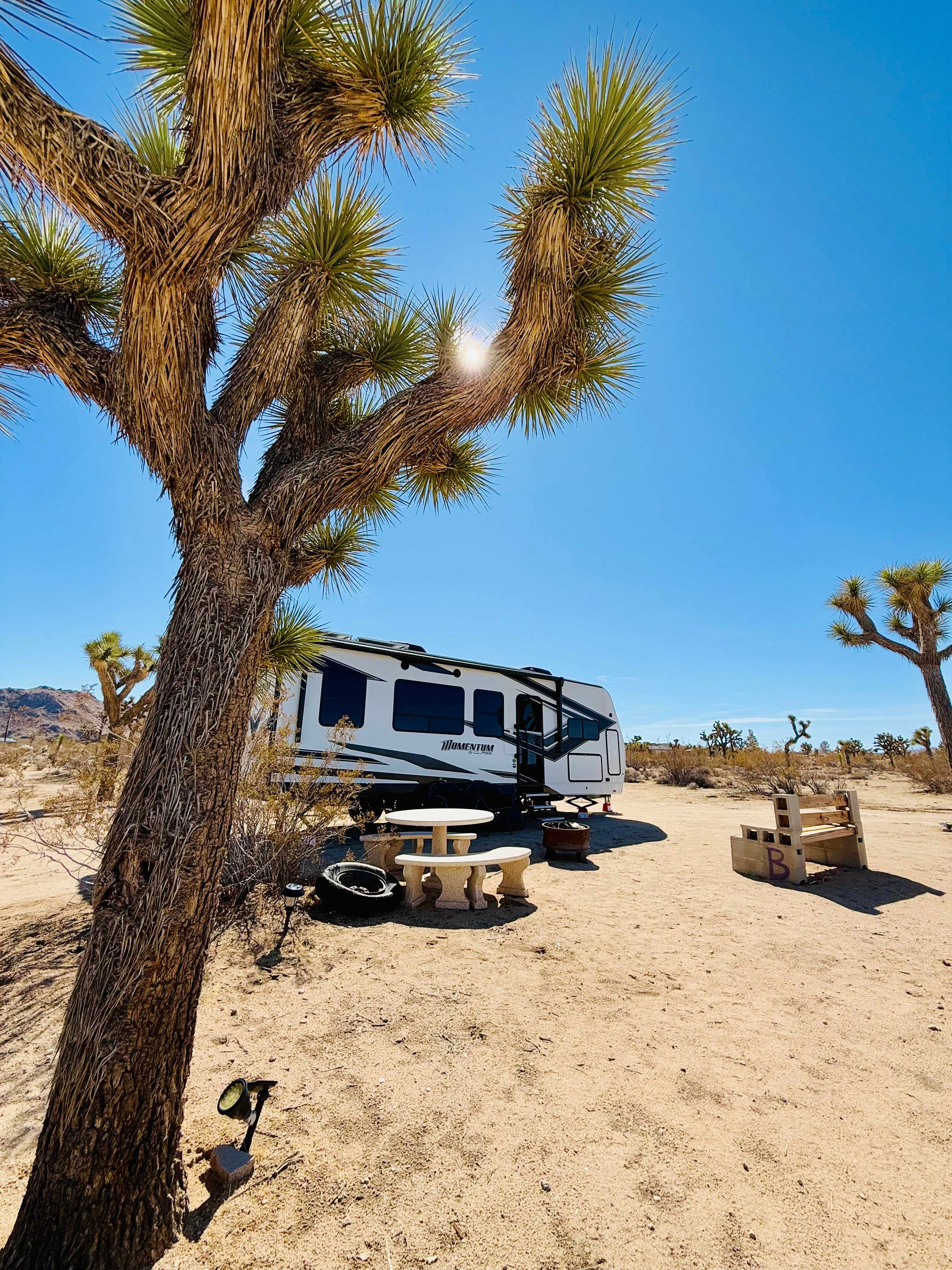 Caribbean Mojave Escape