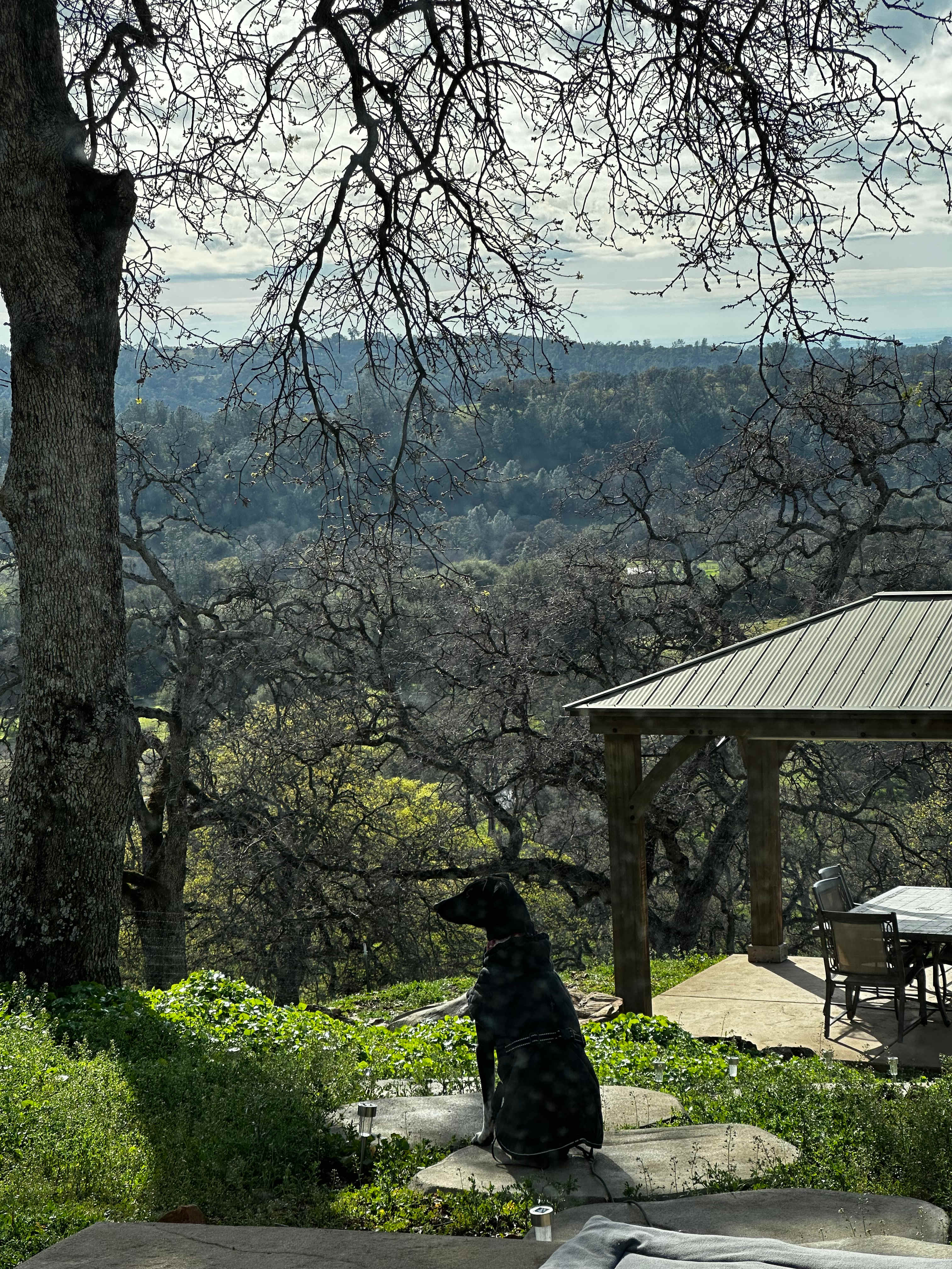 Serene Country Paradise