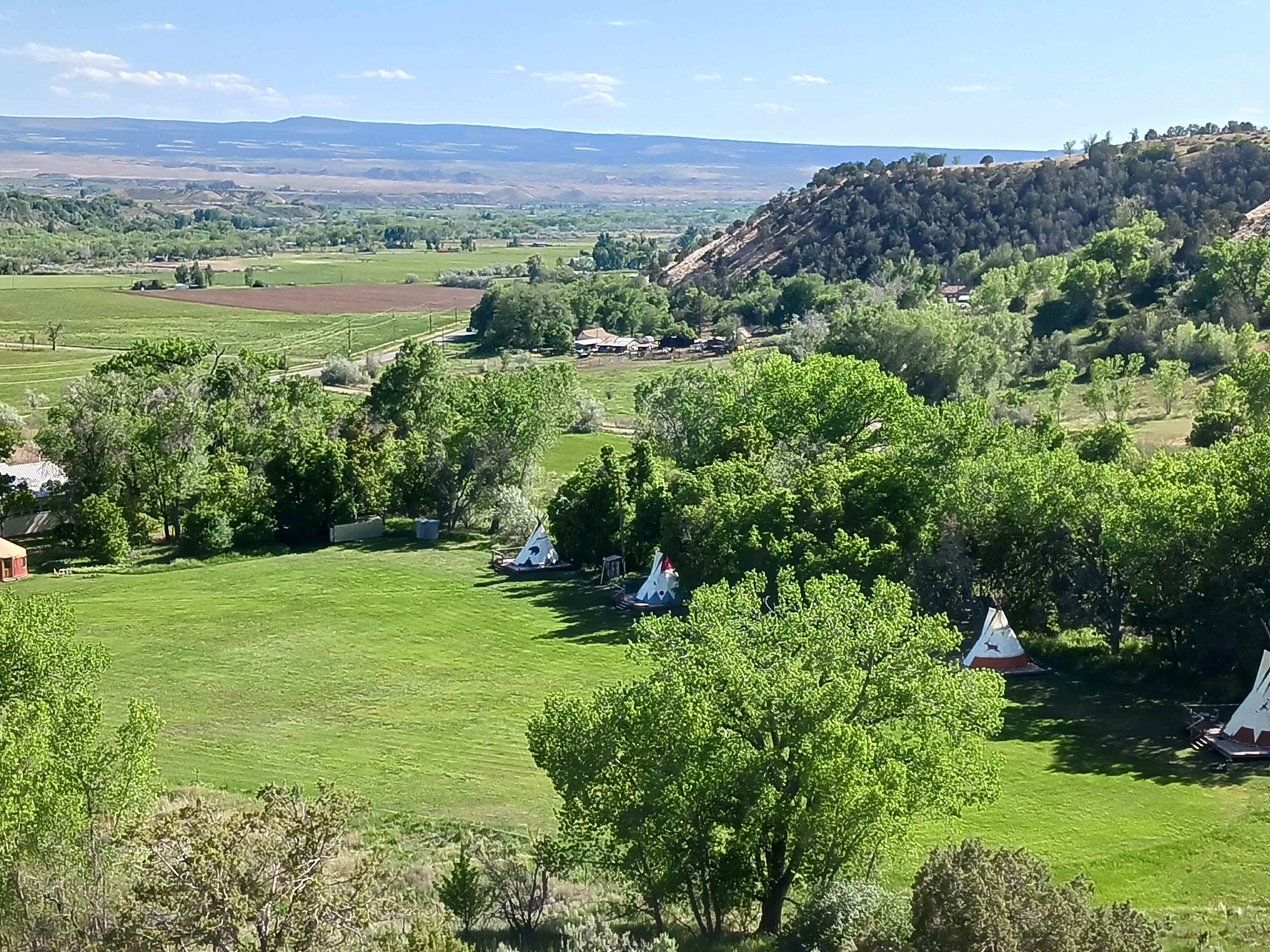 Picture of the site