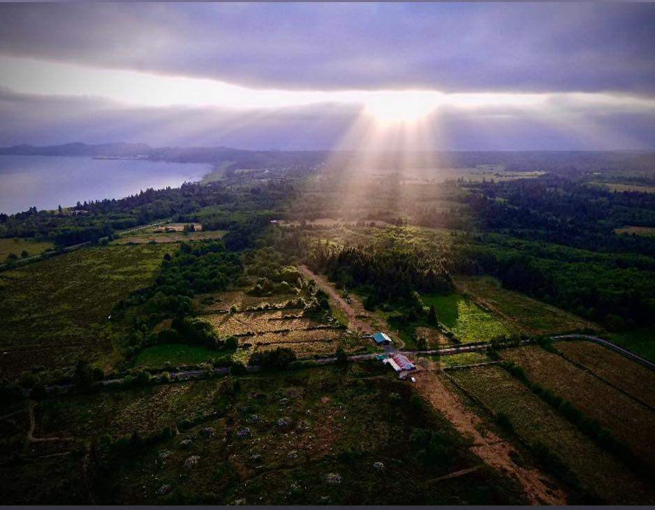 Drone view of Rhett's Ranch. Green Roof Barn and behind is the campground. Red roof barn and surrounding Rhett's Ranch Camp is our personal Cattle Ranch. 