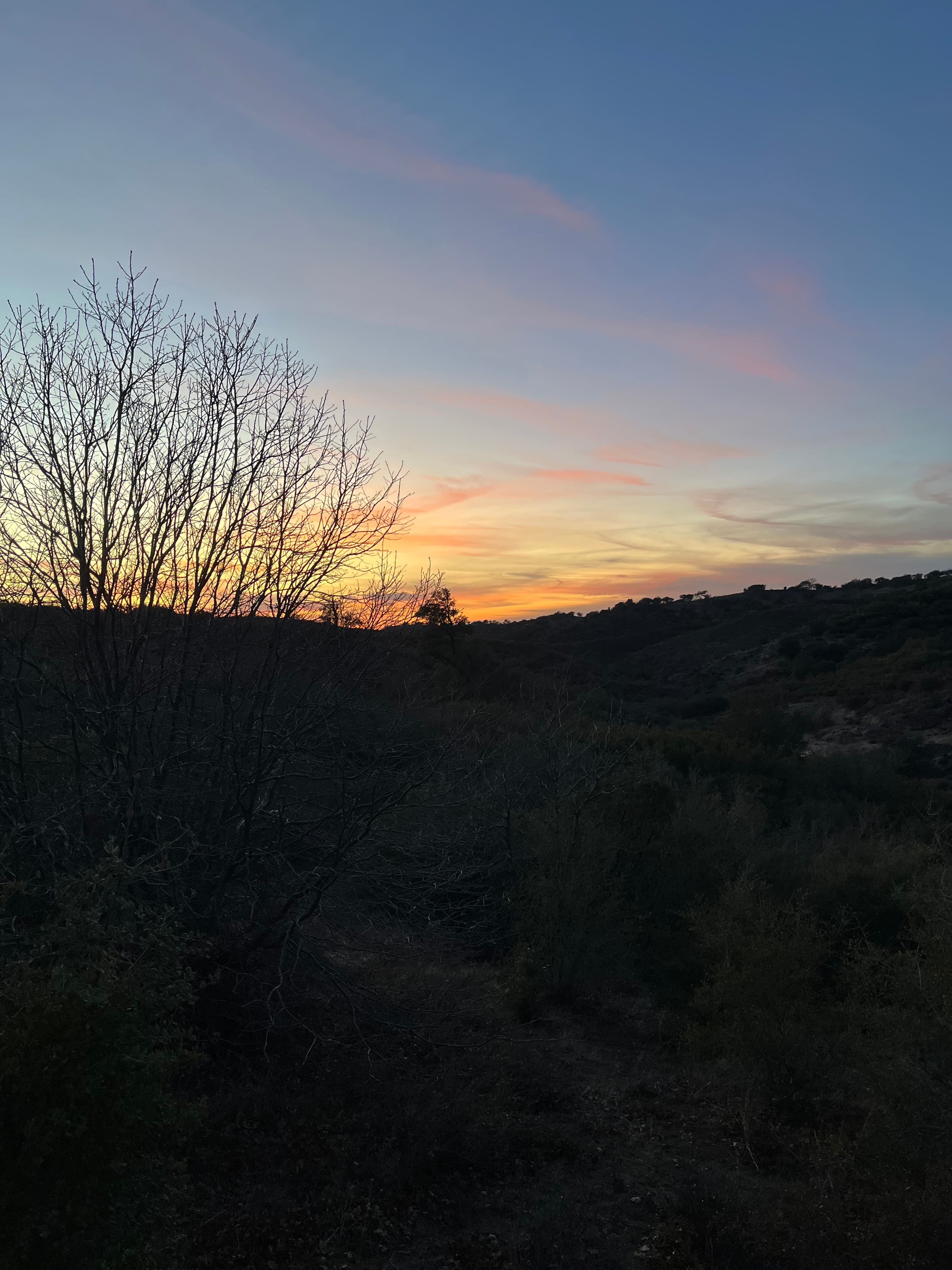 Sunset view 