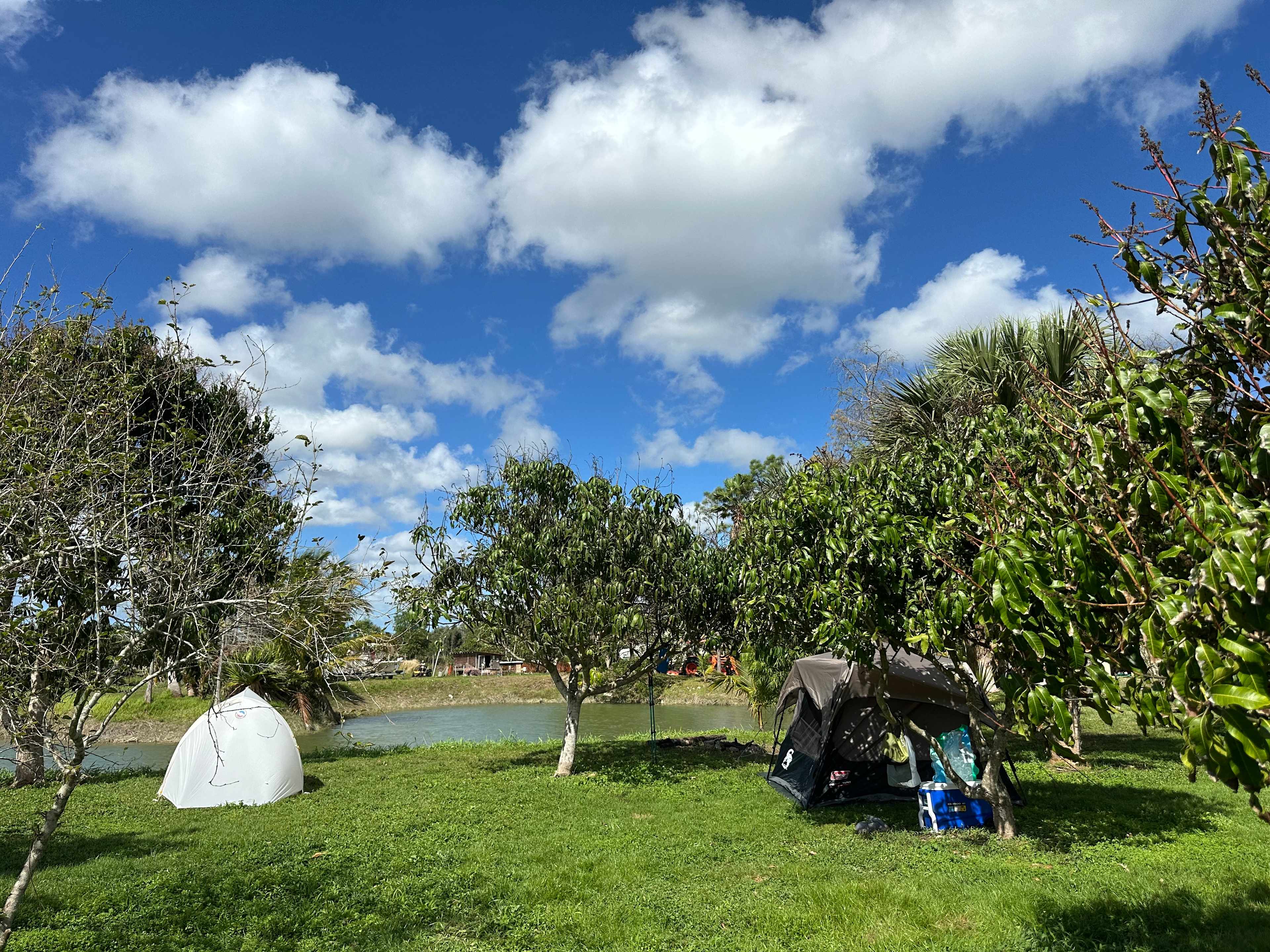 Our tent site near the pond. 