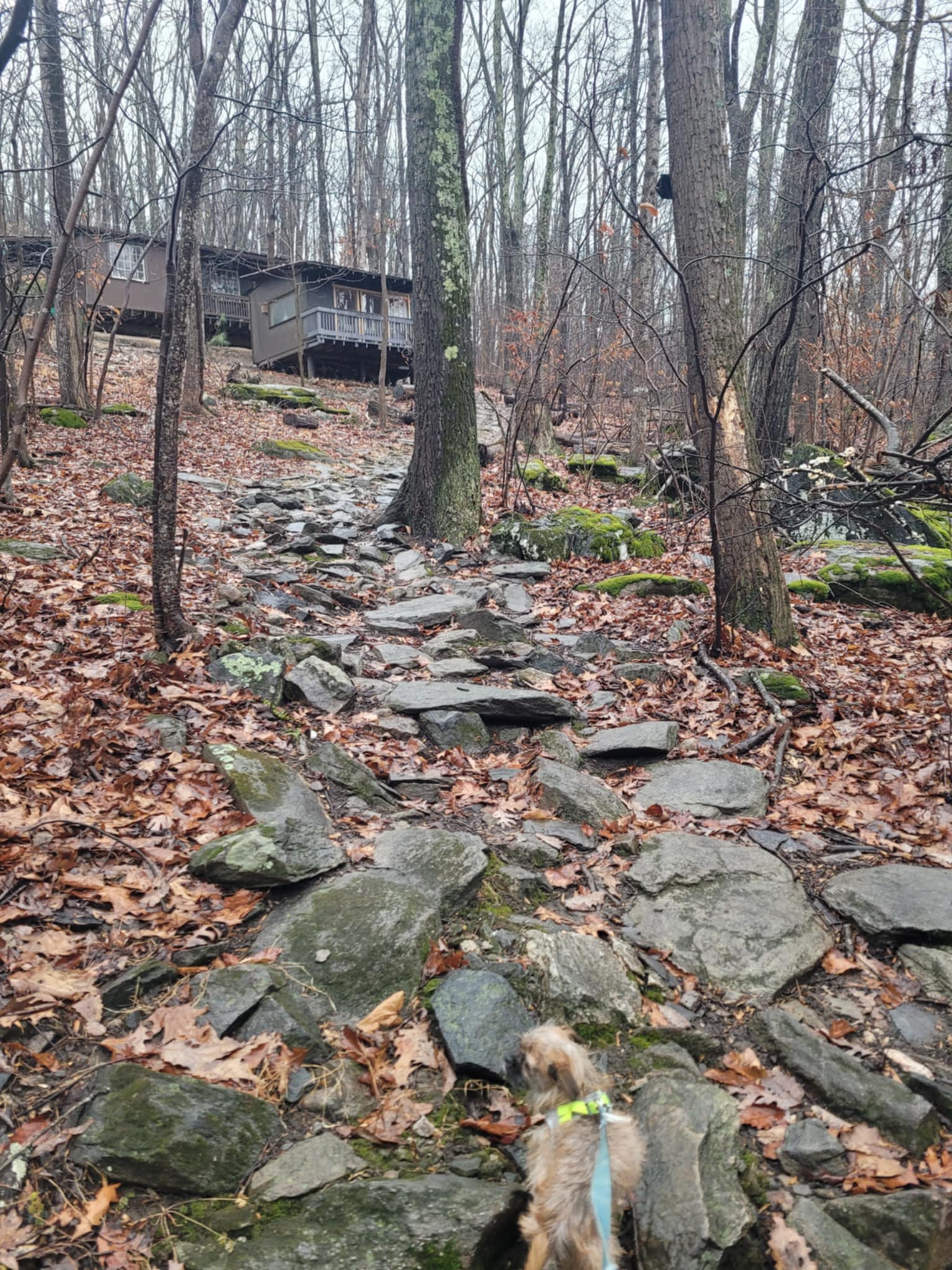 Smith Ridge Harper's Ferry