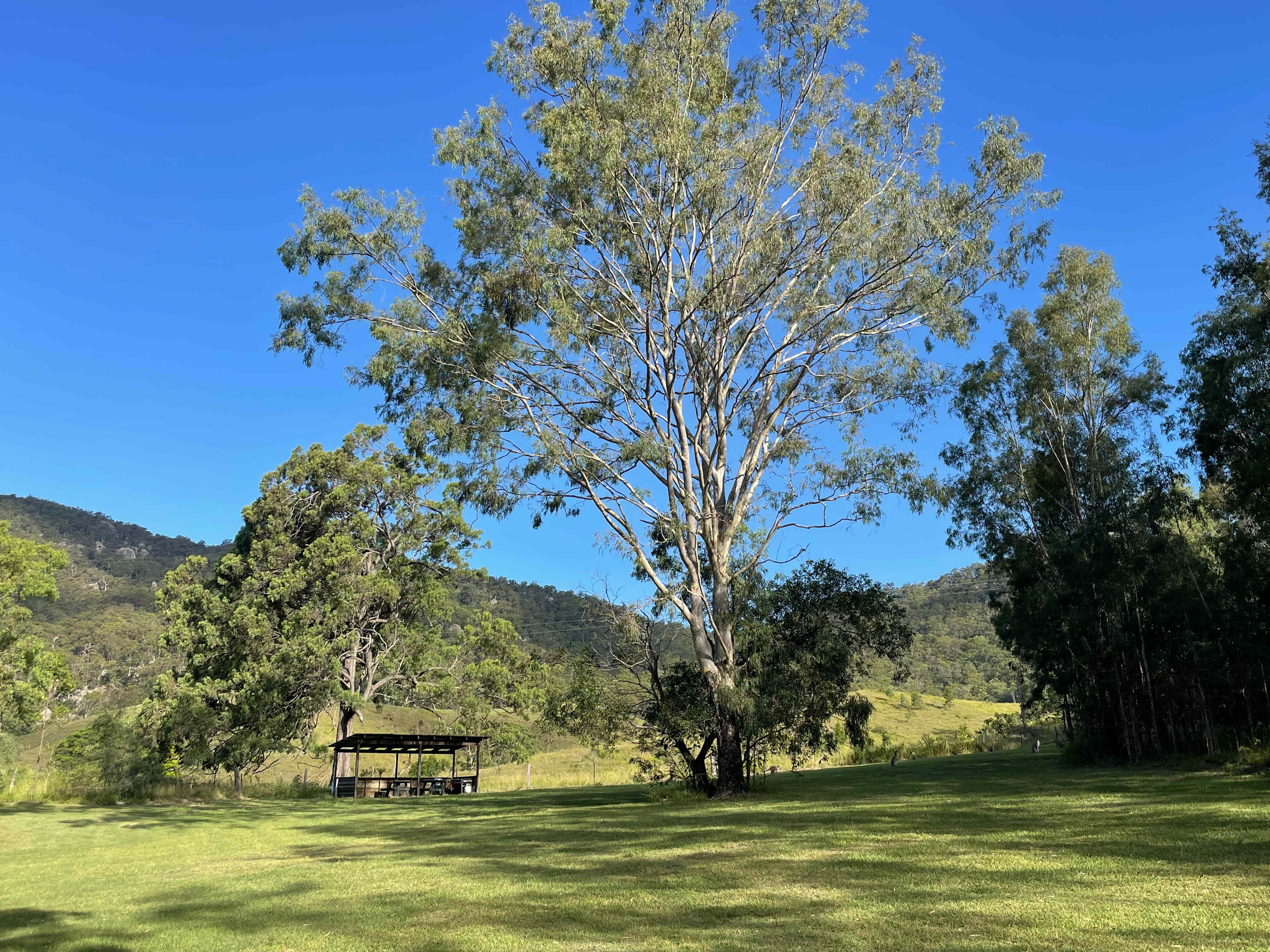 Spacious campsite with shelter shed and 2 picnic tables and a fire ring.
Uninterrupted views to the Mt Gillies volcano remenant.
