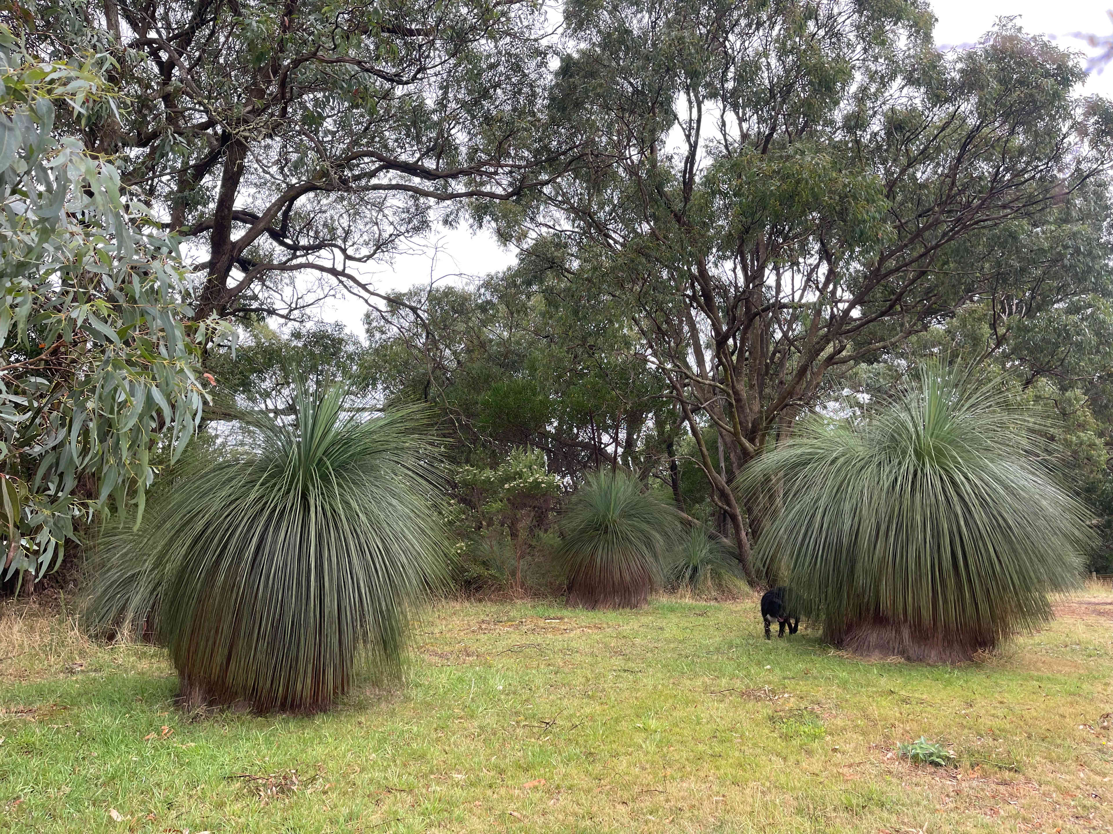 Salt Wood Glamping