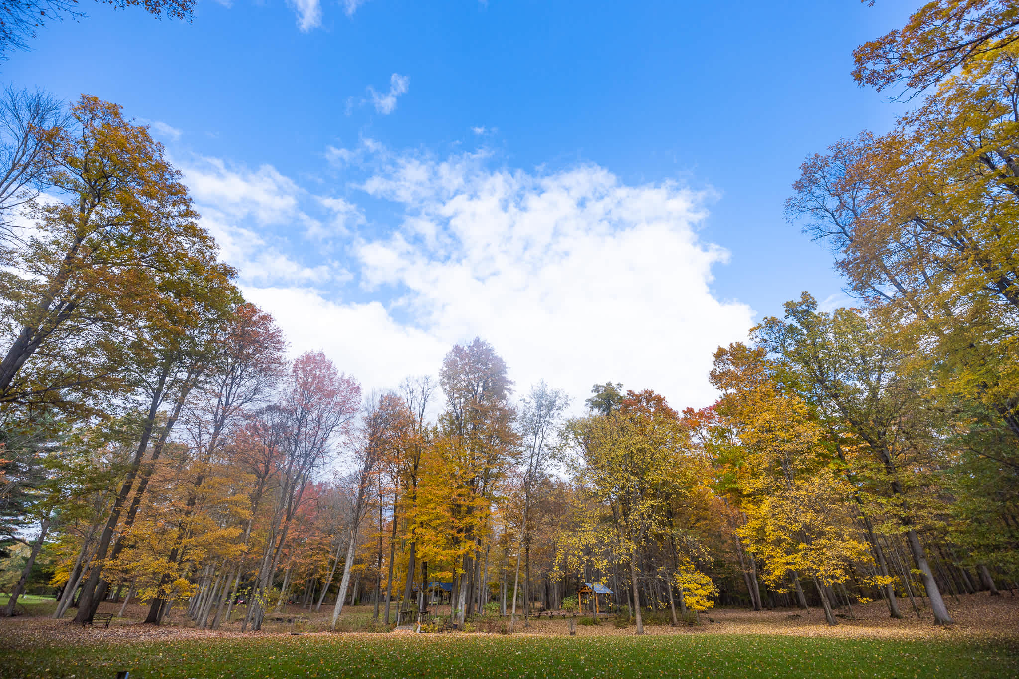 Fernwood Hills