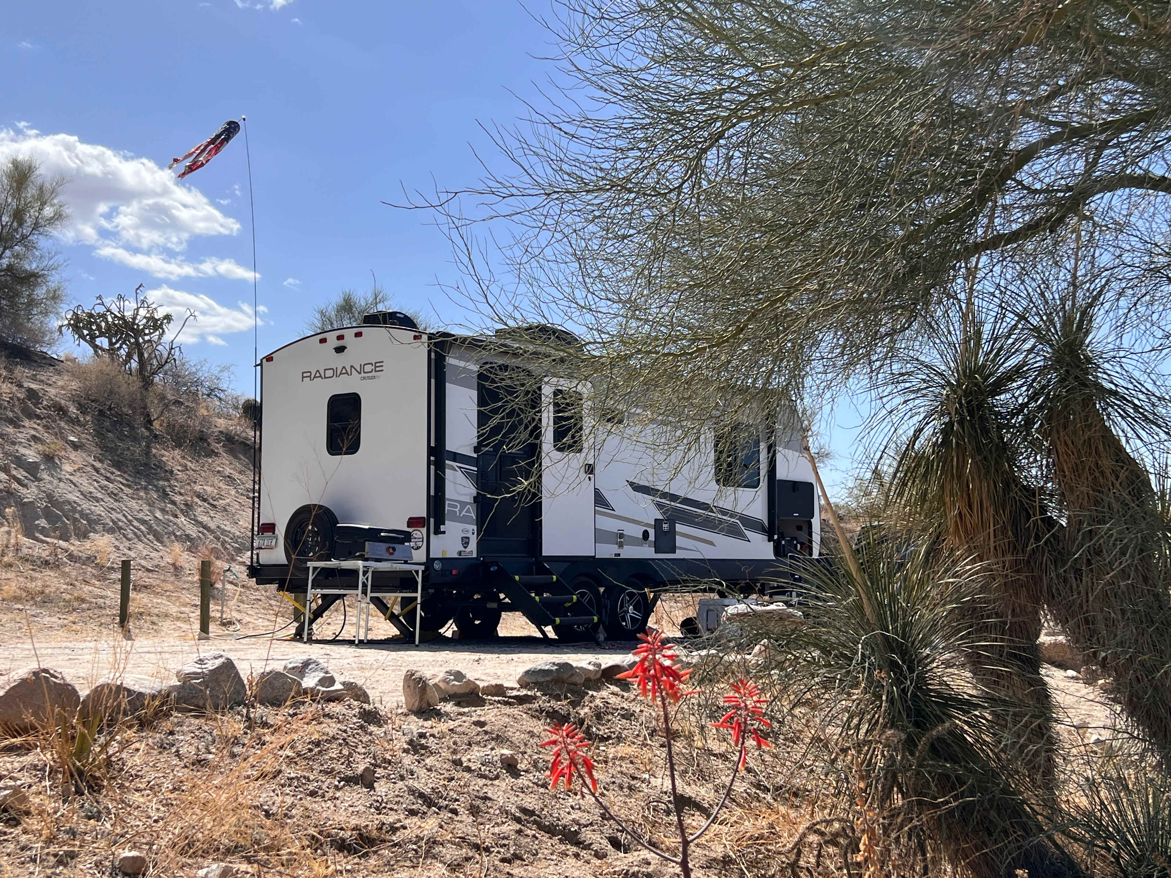 Freedom in the Catalinas