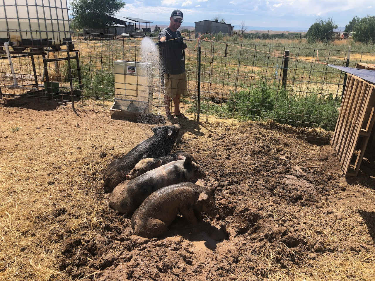Fire Mountain Farmstead