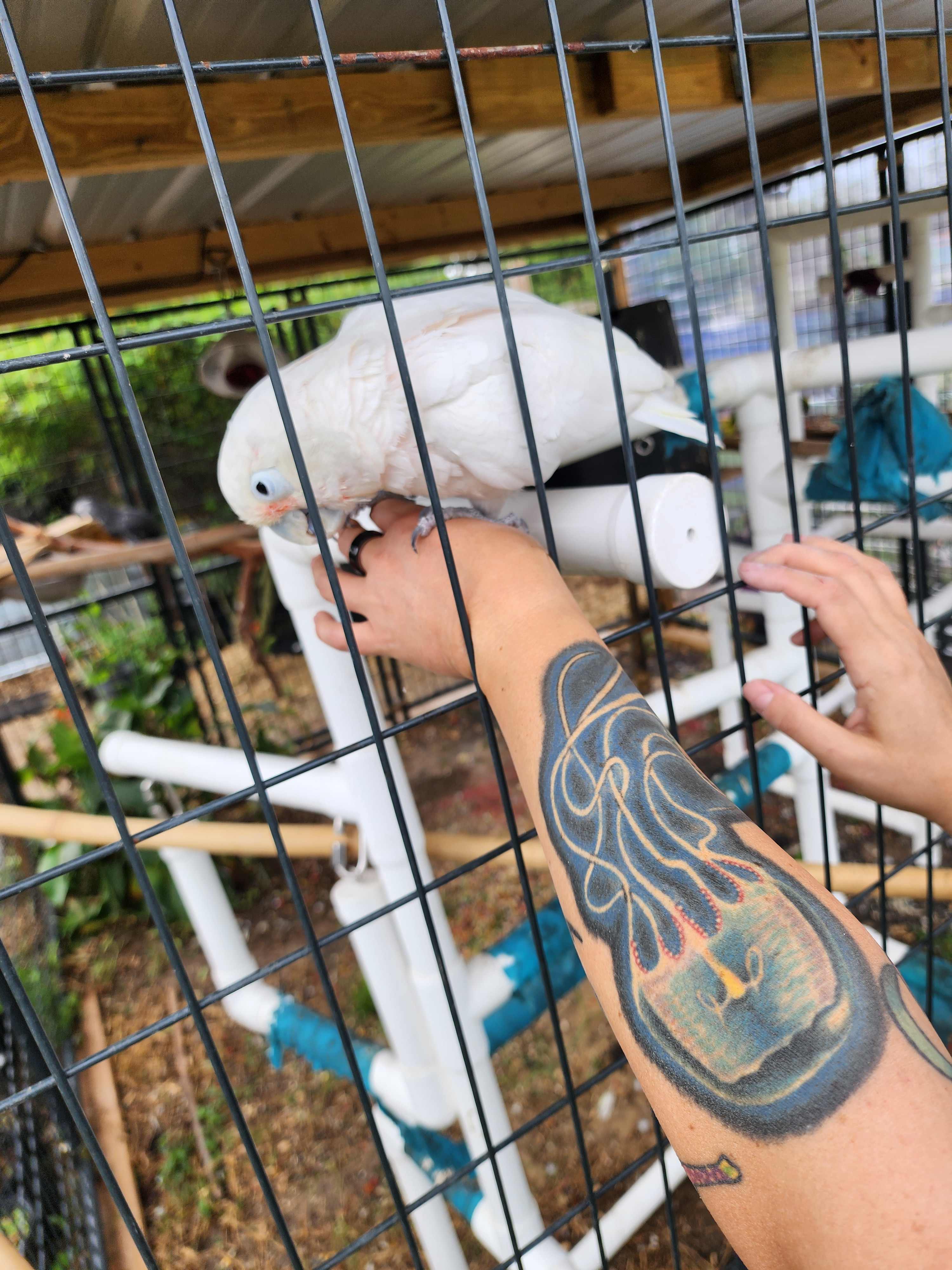 Gulf Winds Wildlife Sanctuary