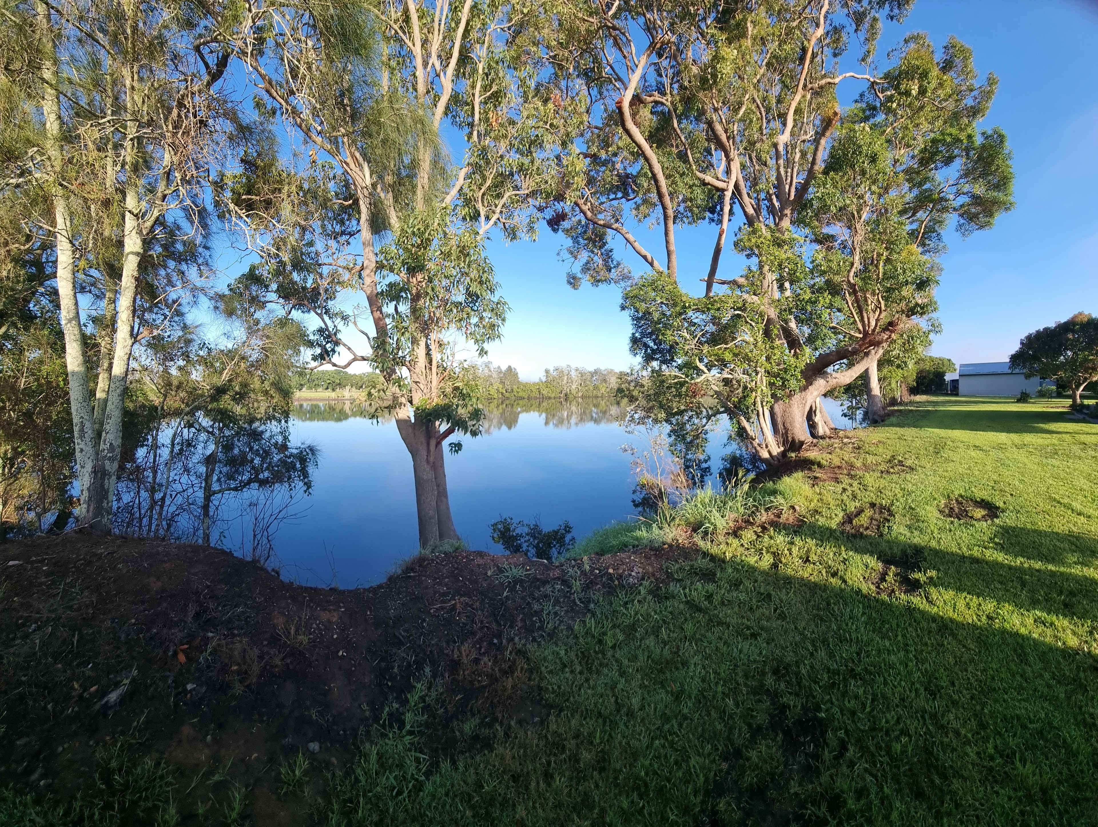 Early morning