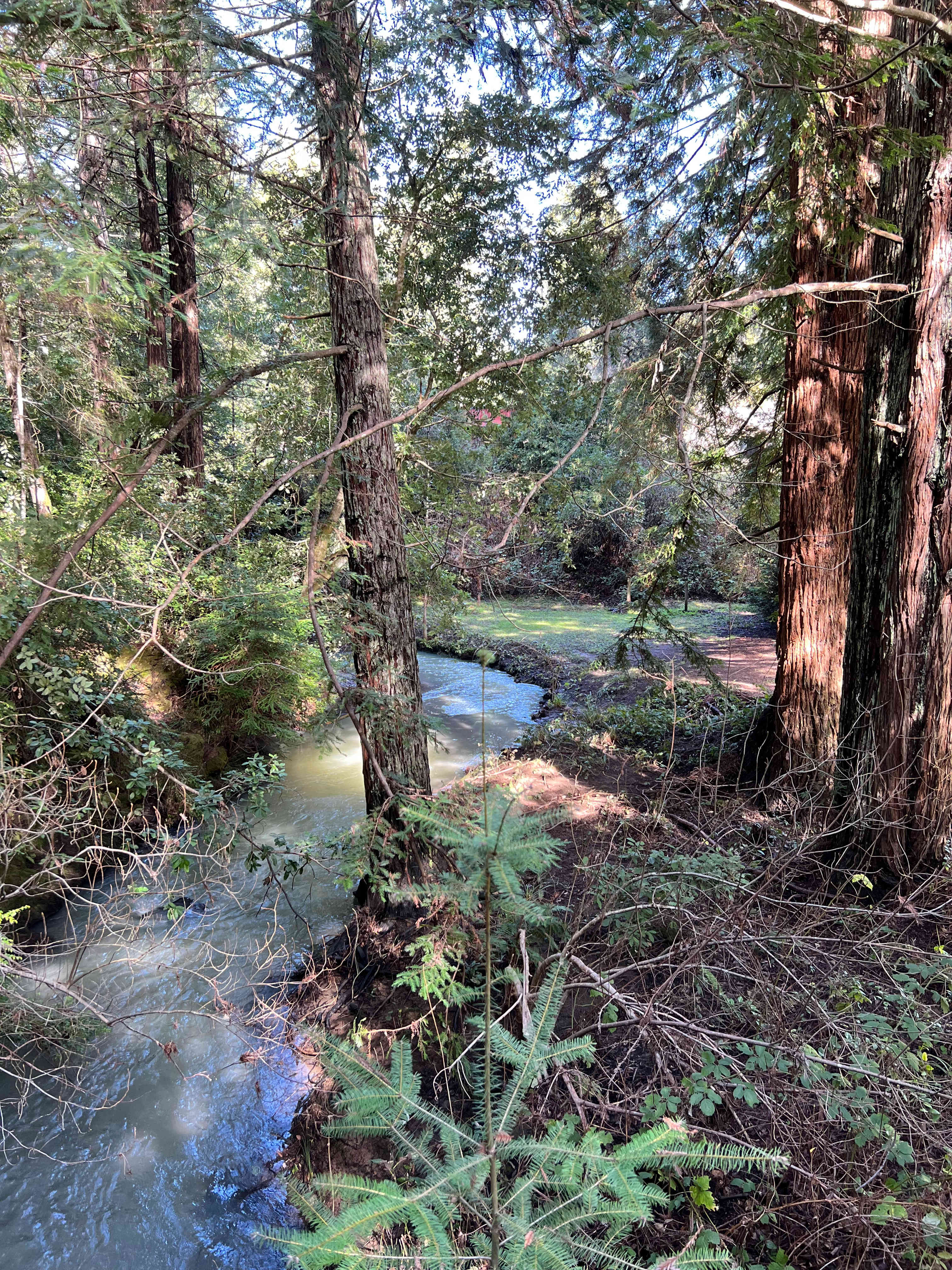 The creek
