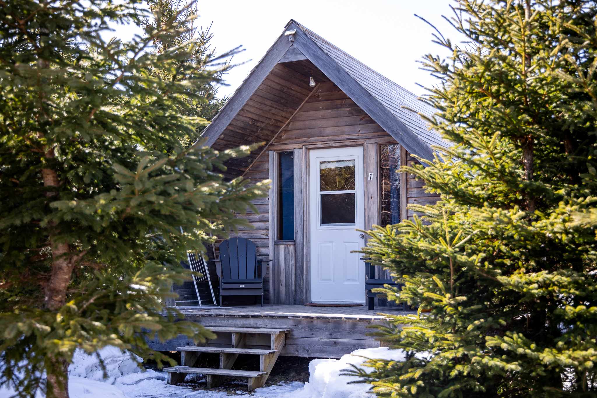 The Dancing Moose Vacation rentals