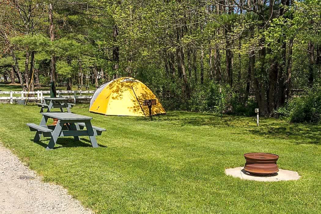 Tent - Electric & Water (20 Amp)