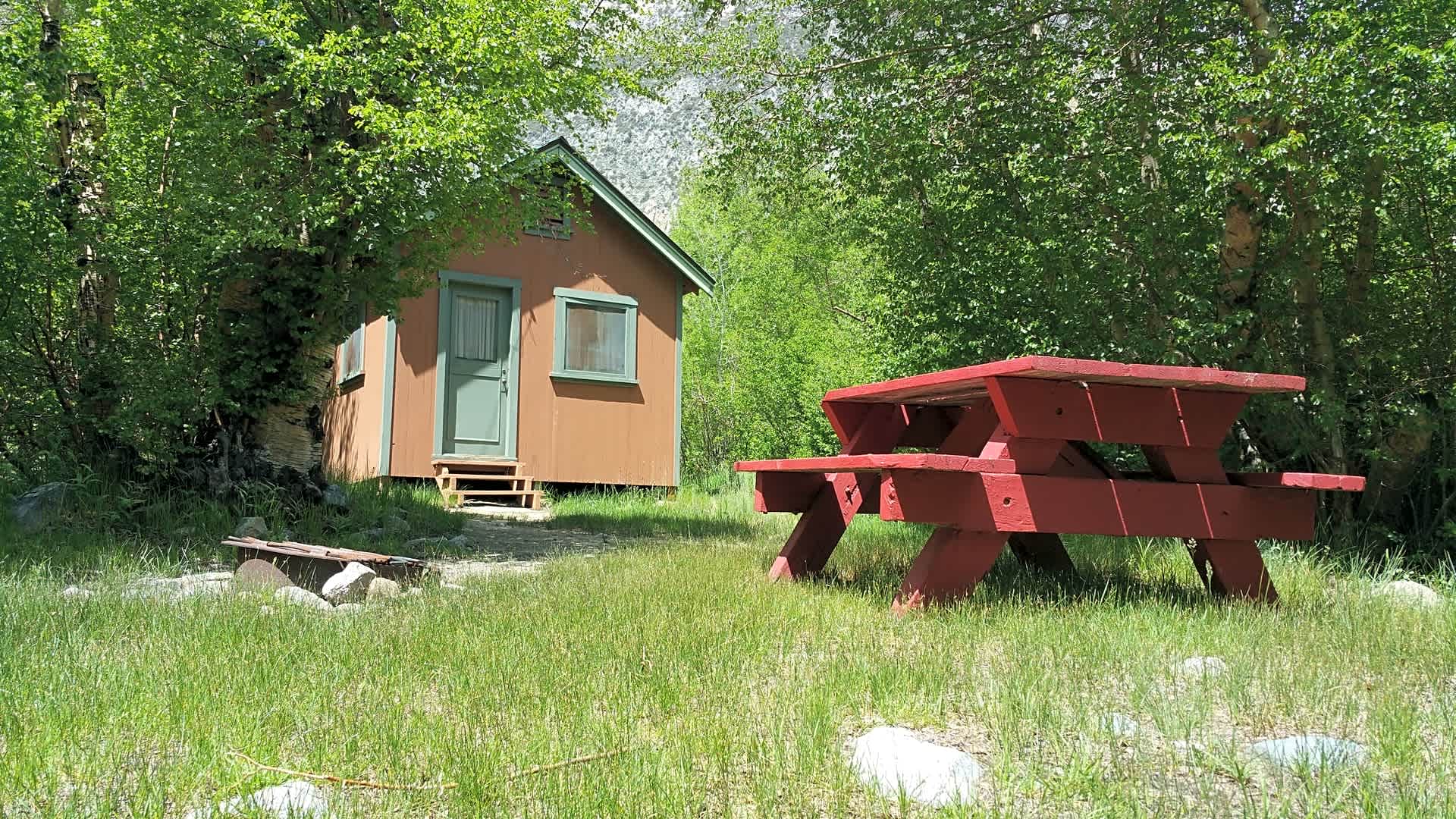 Cabin 19