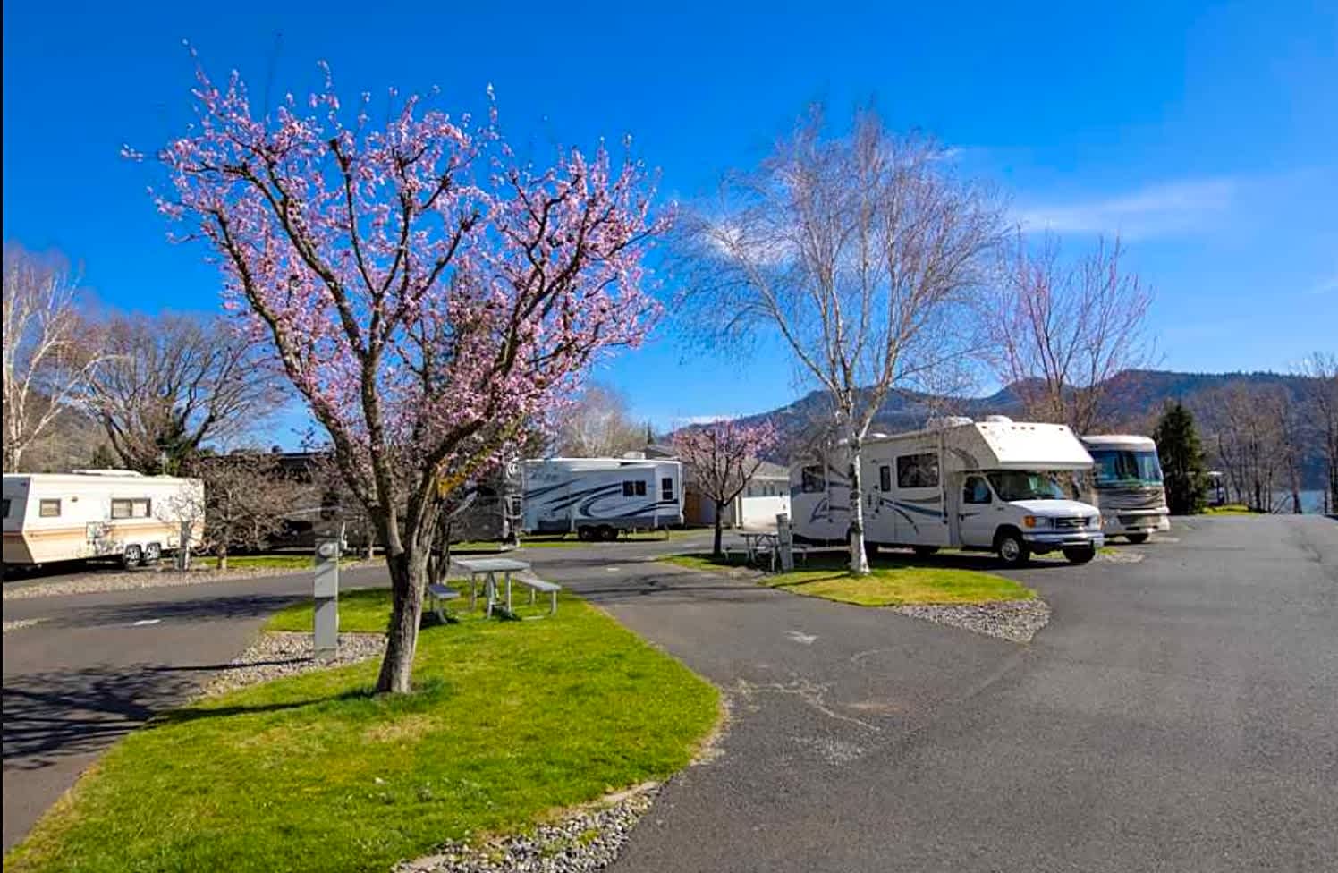 Standard Pull-Through RV Site