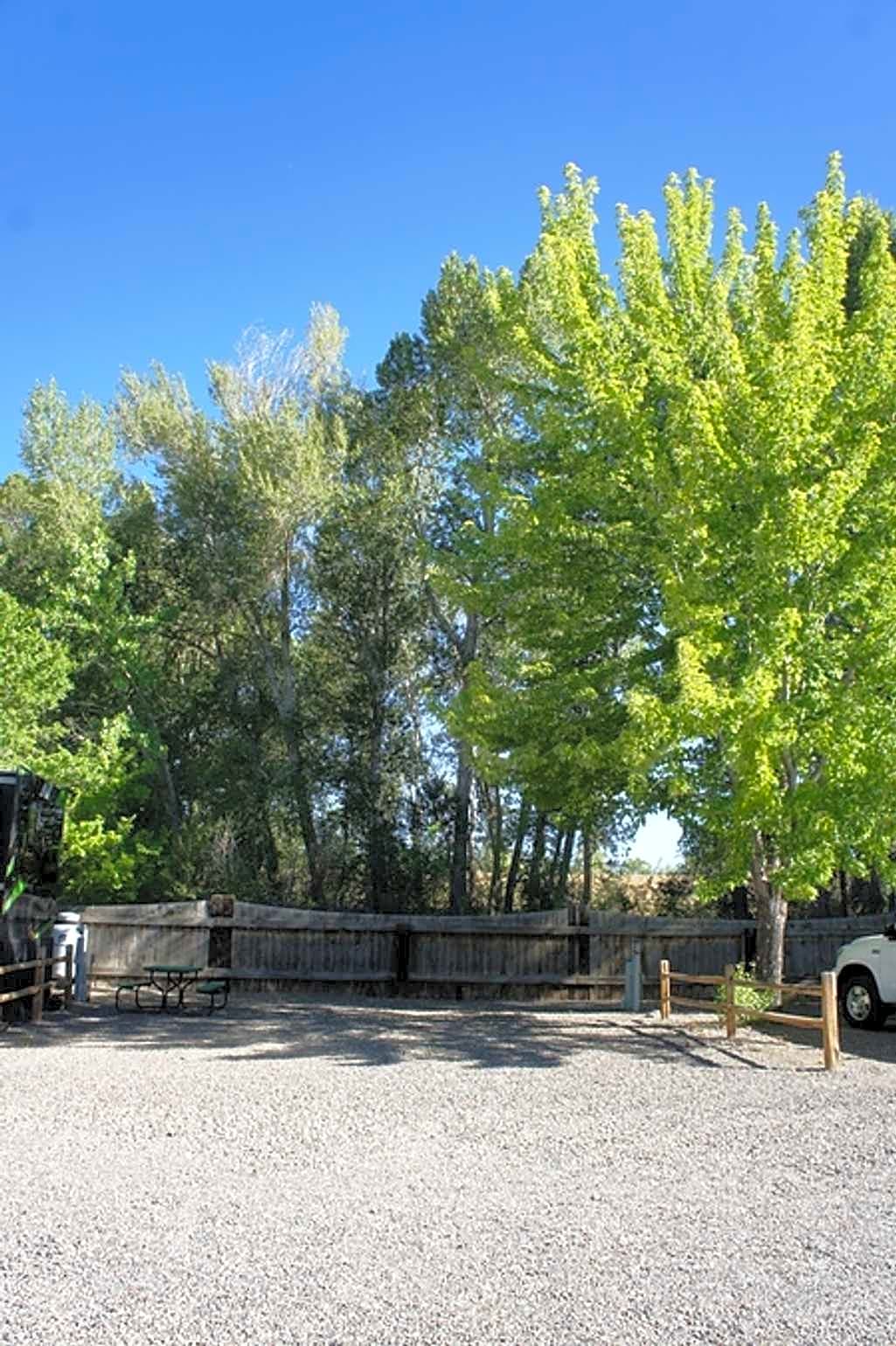 Back-In RV Site