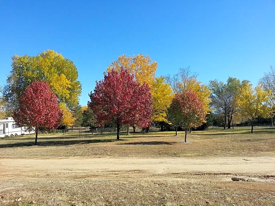 Tent Sites