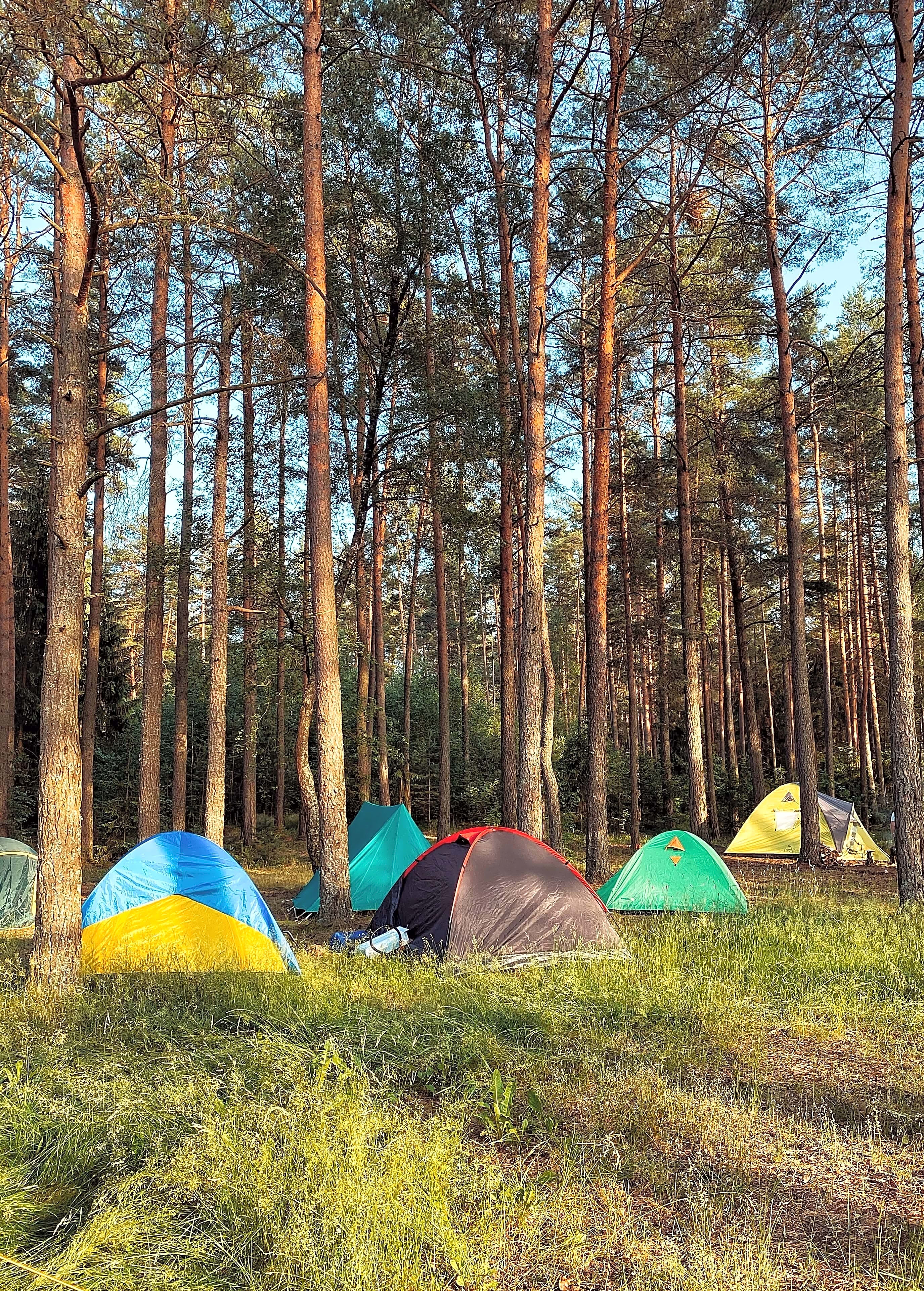 Non Hookup Tent Site