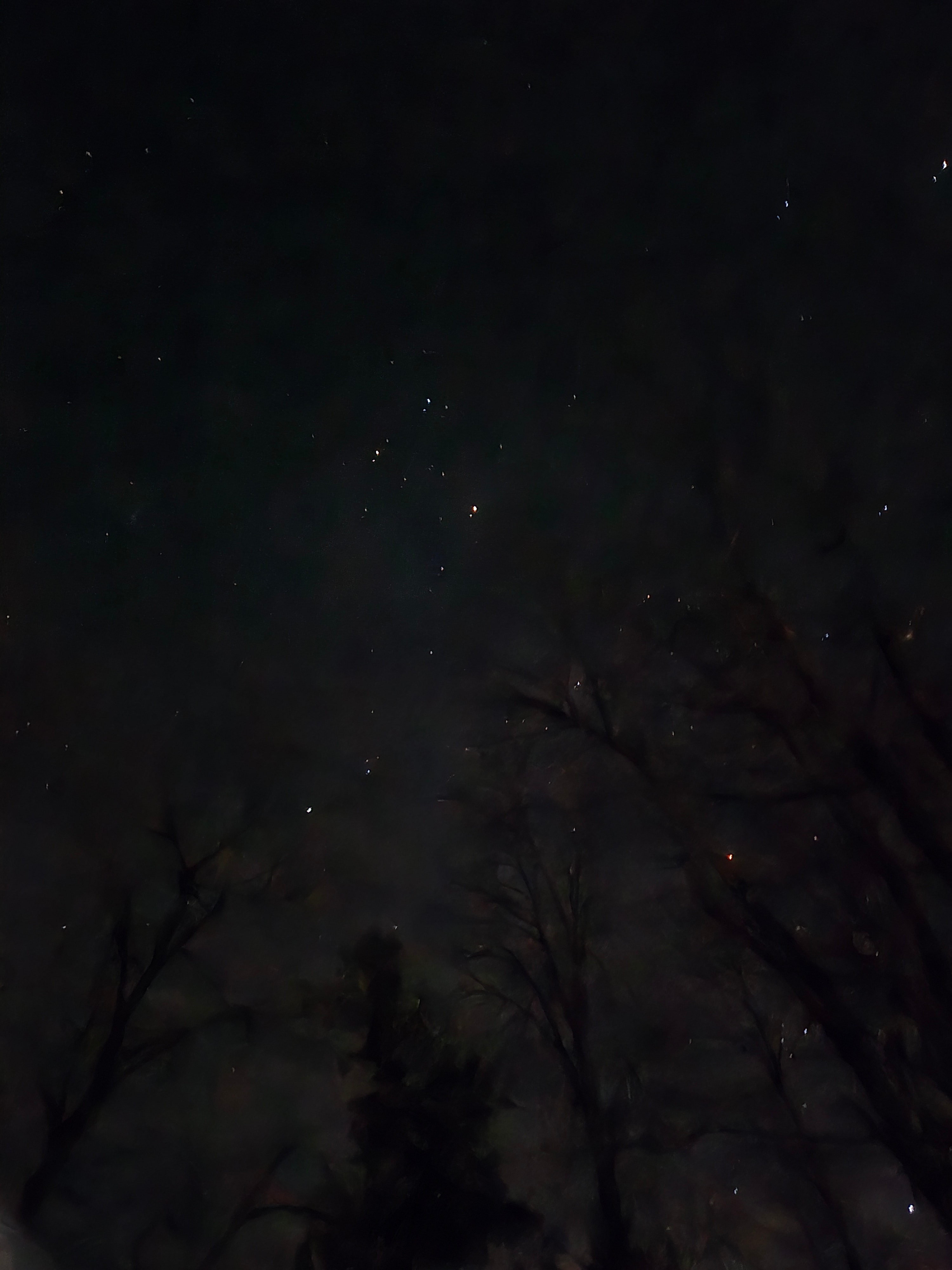Stary night sky
