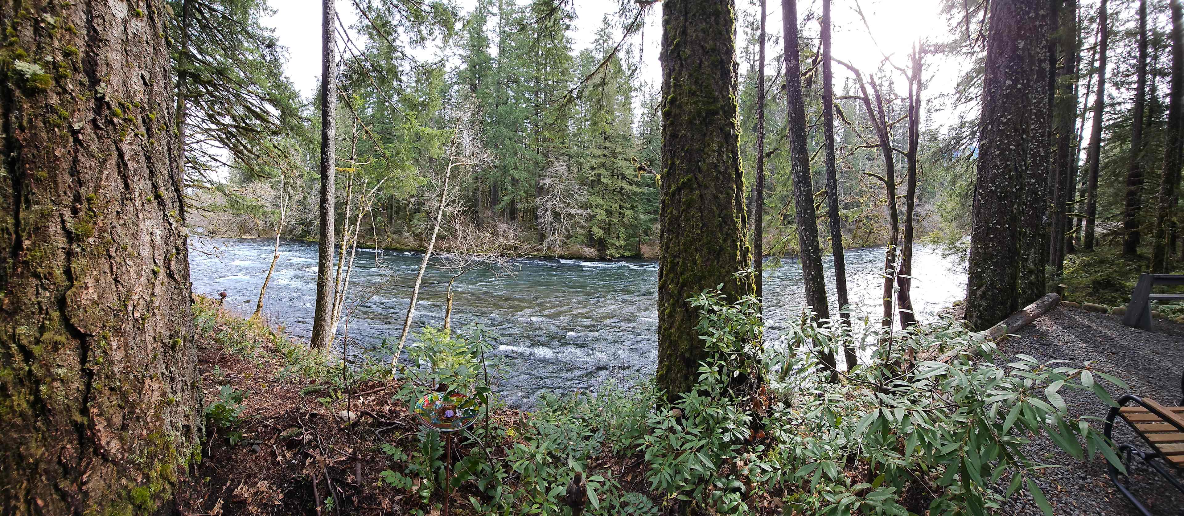 East view of the river