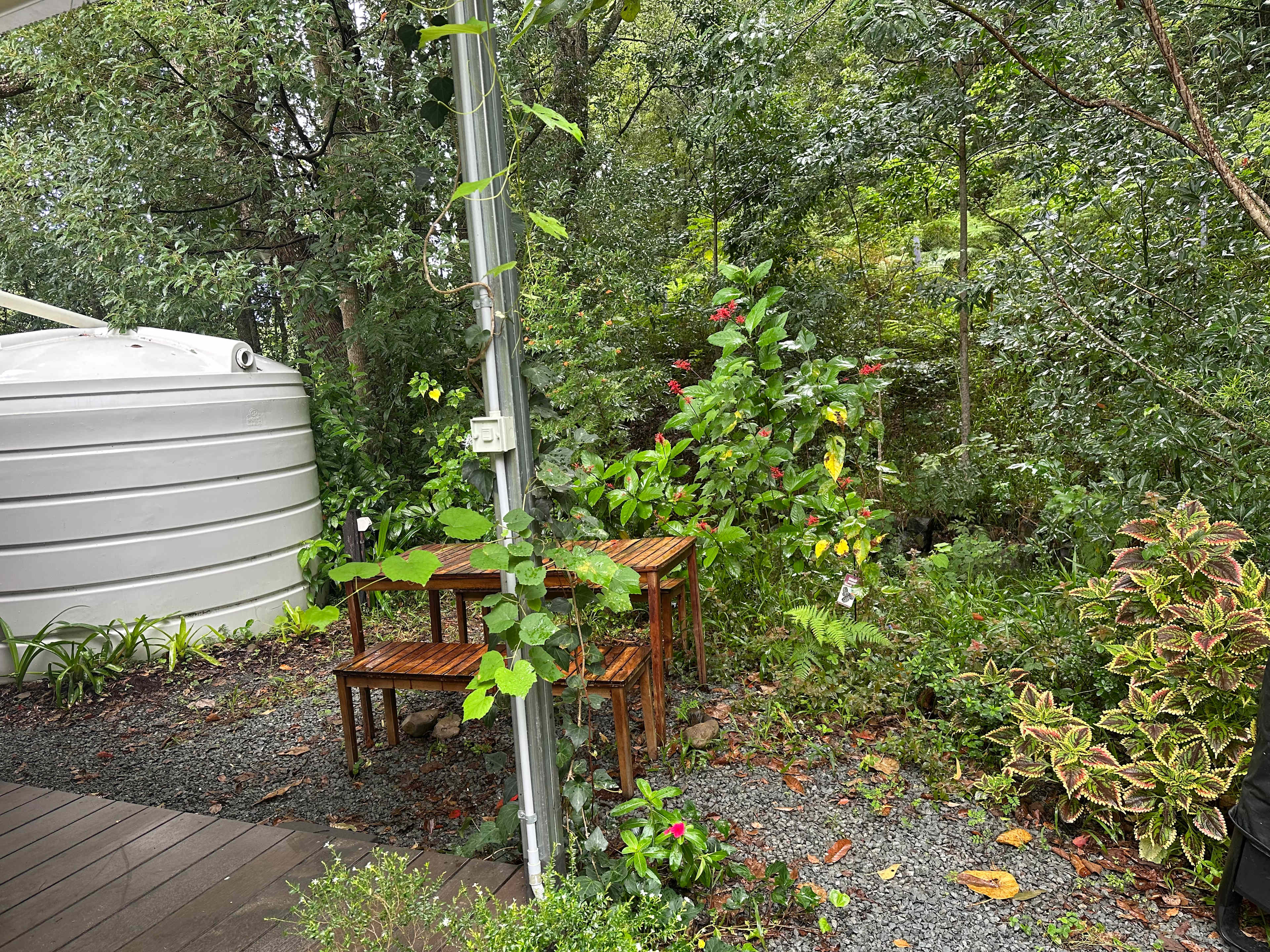 Crystal Creek Rainforest Treehouse