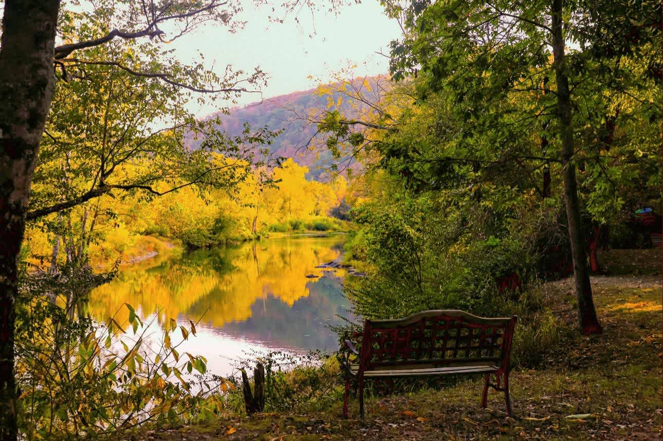 The shack sits in a secluded spot on the River. You might have the whole river to yourself, or people-watch as kayakers pass by in the summer.