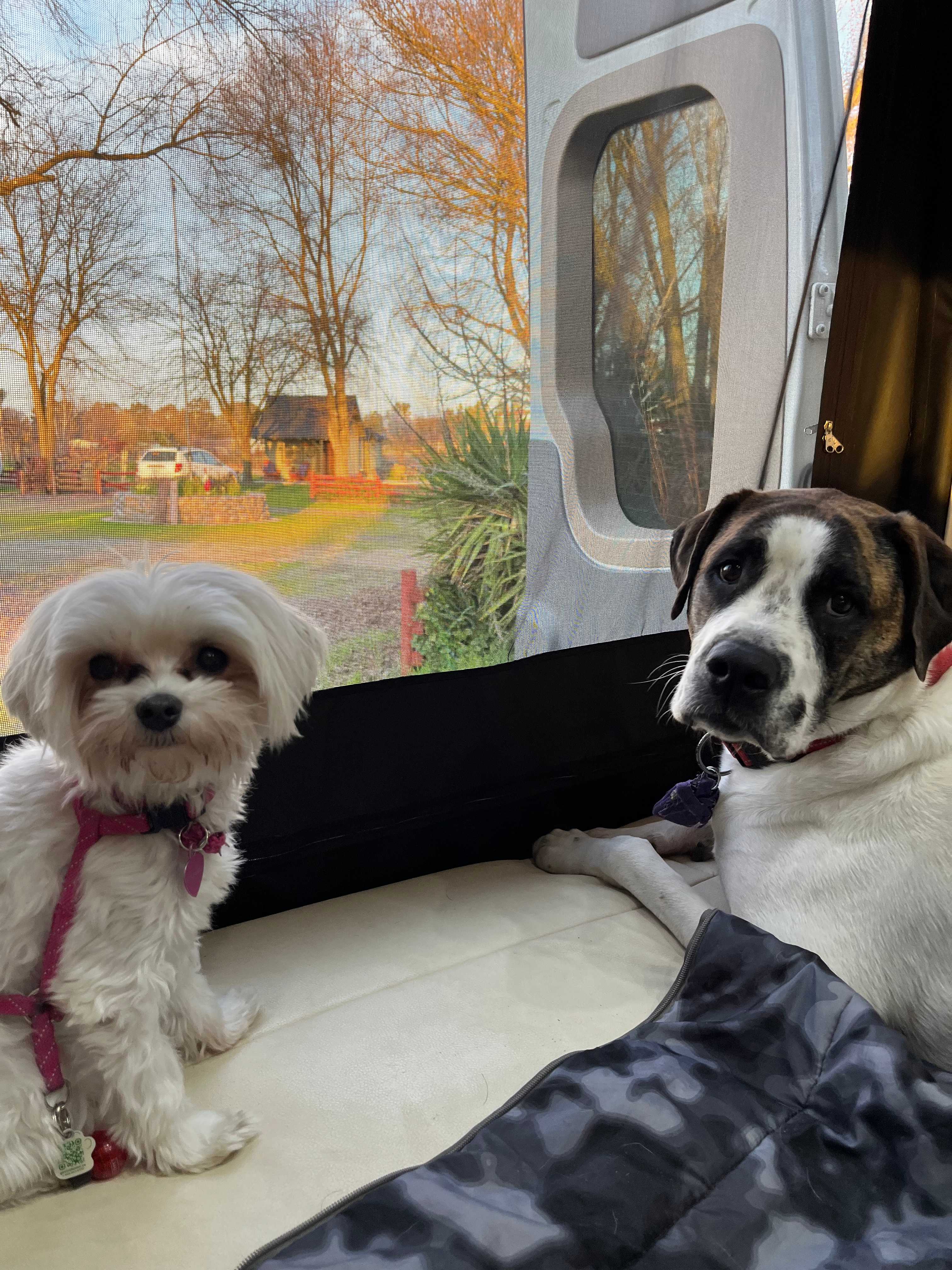 We love it here mom!