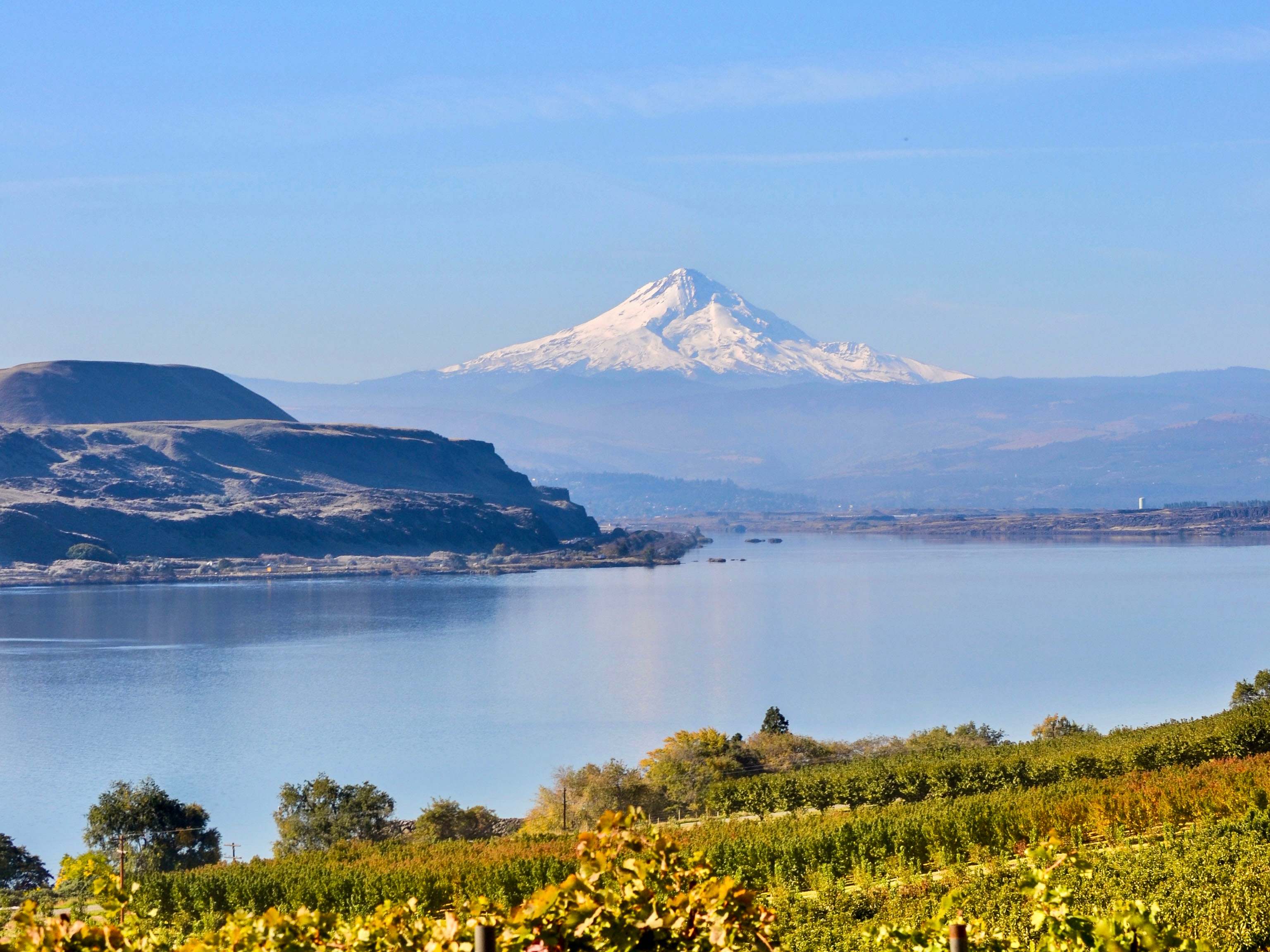 Gorge Vista And Winery Camping