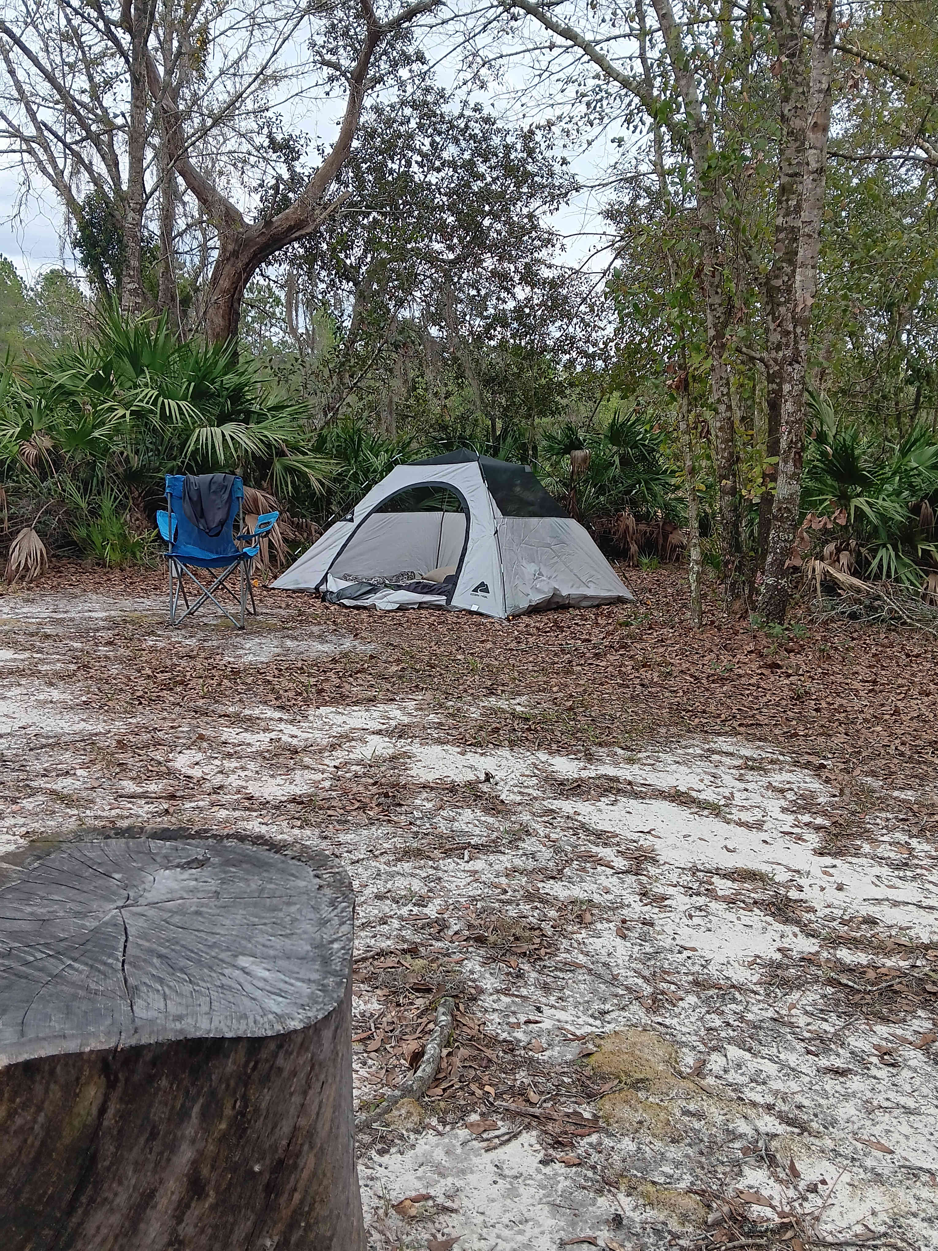 THE HIDEOUT