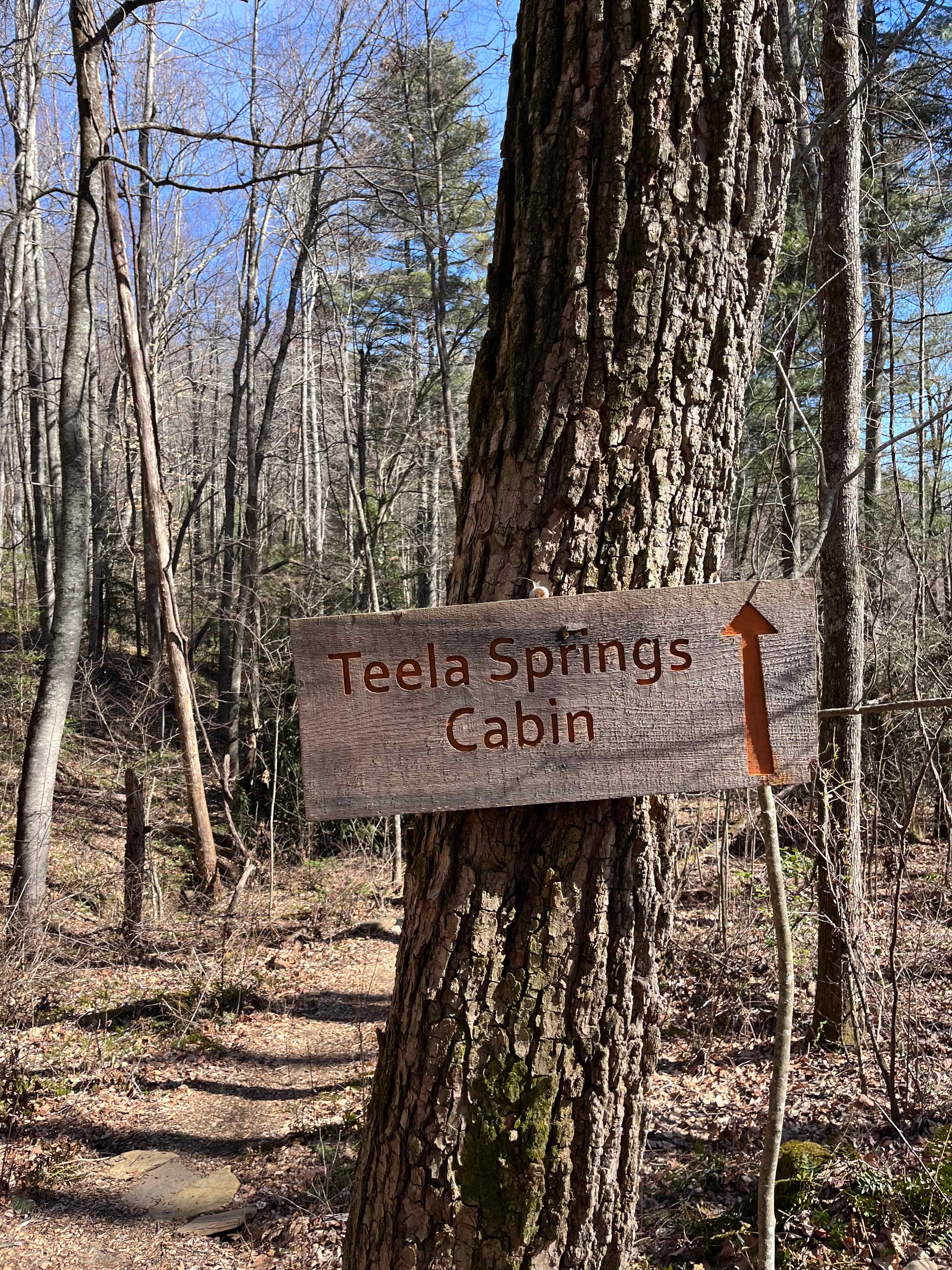 Cold Spring Basecamp