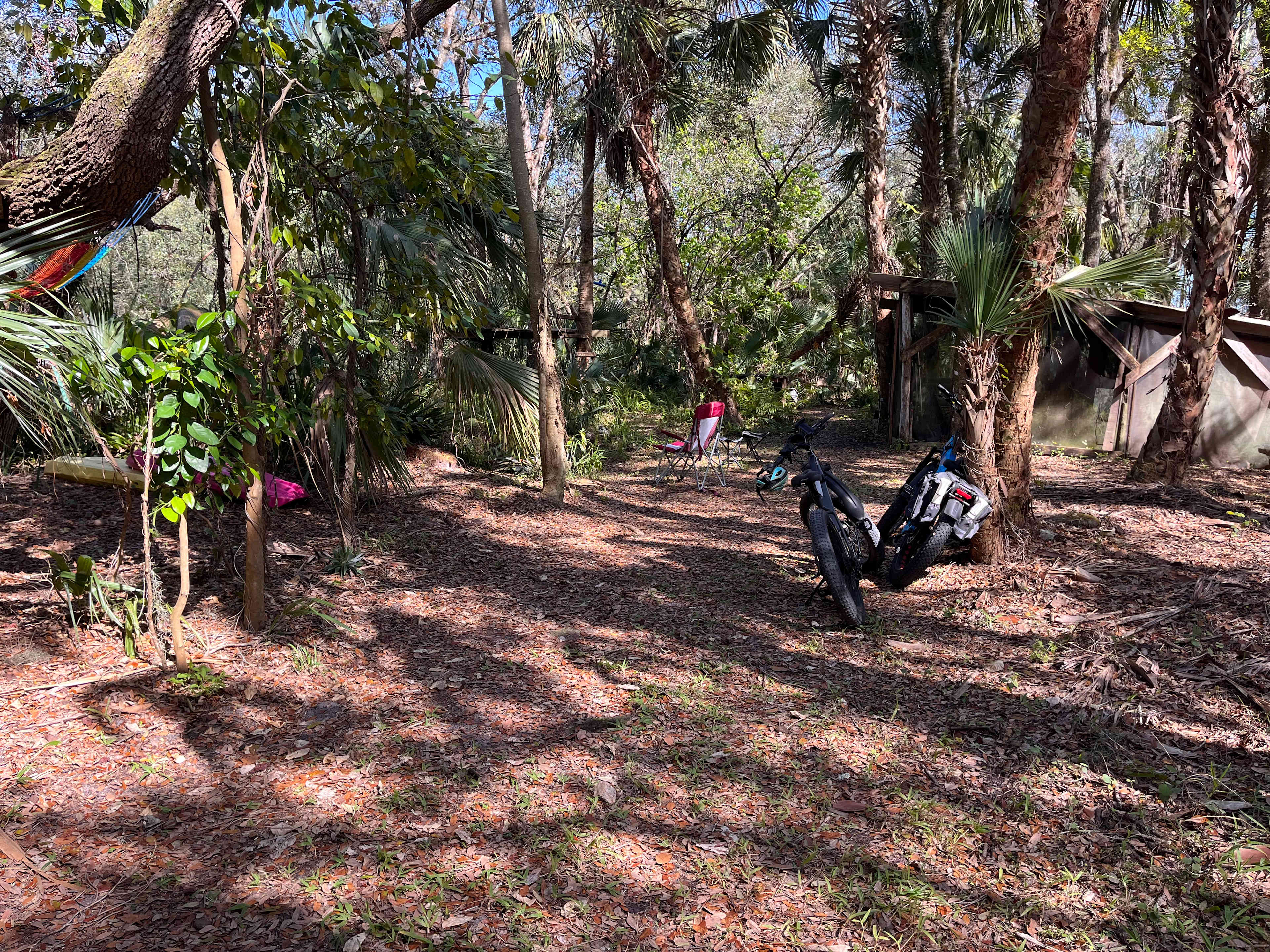 Sandy's Swamp land in Florida