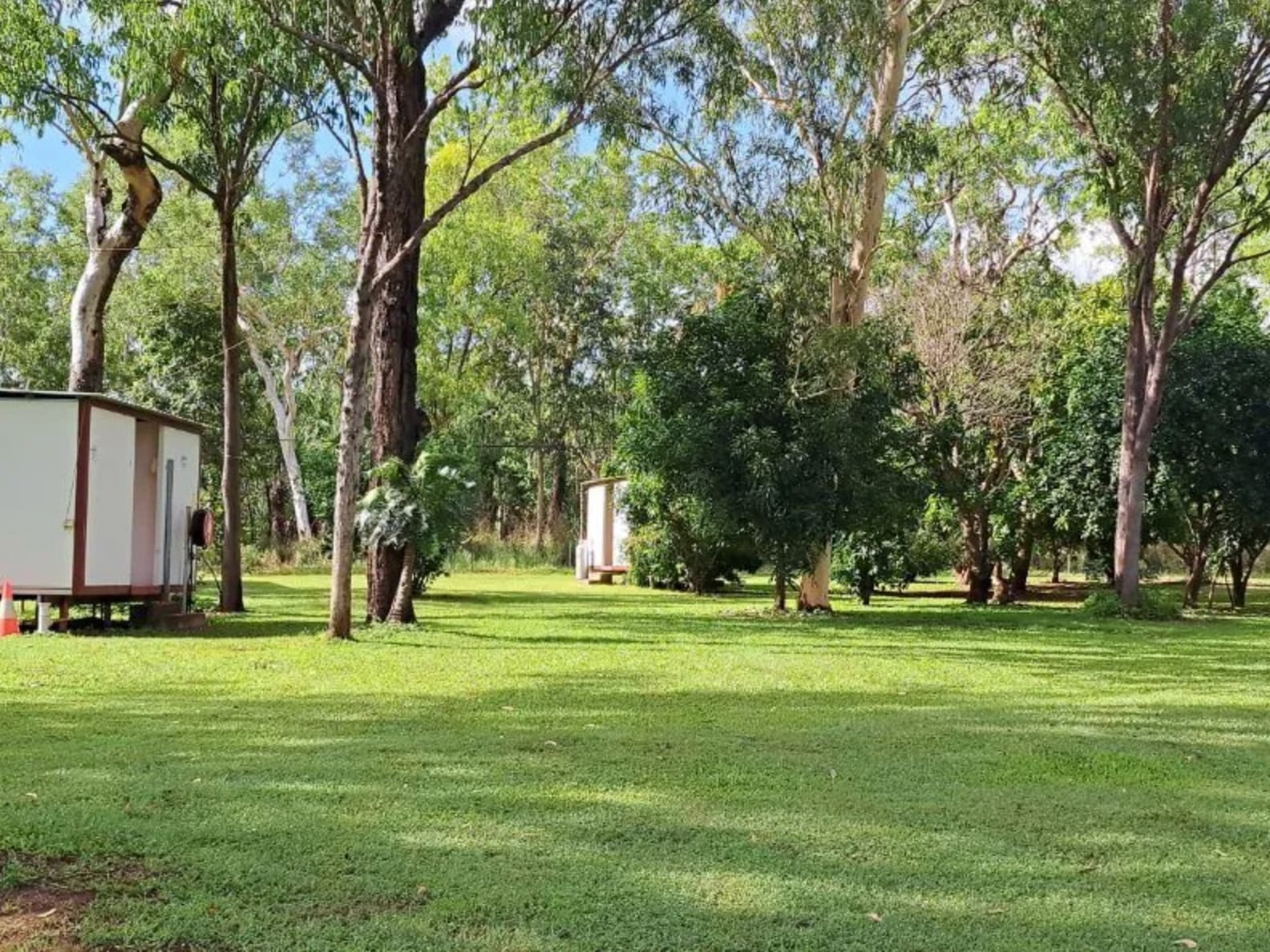 Pandanus on Litchfield