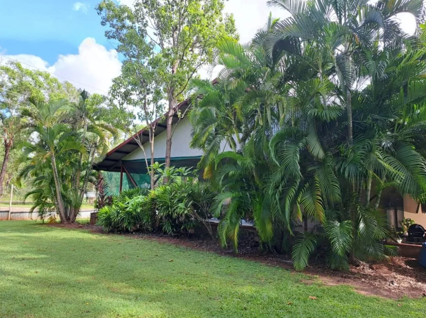Pandanus on Litchfield