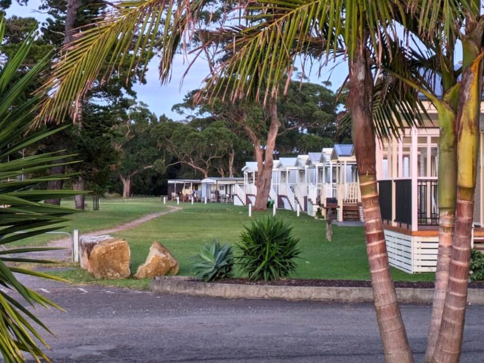 Picture of the site