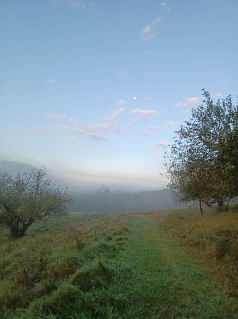 Echo Valley Farm