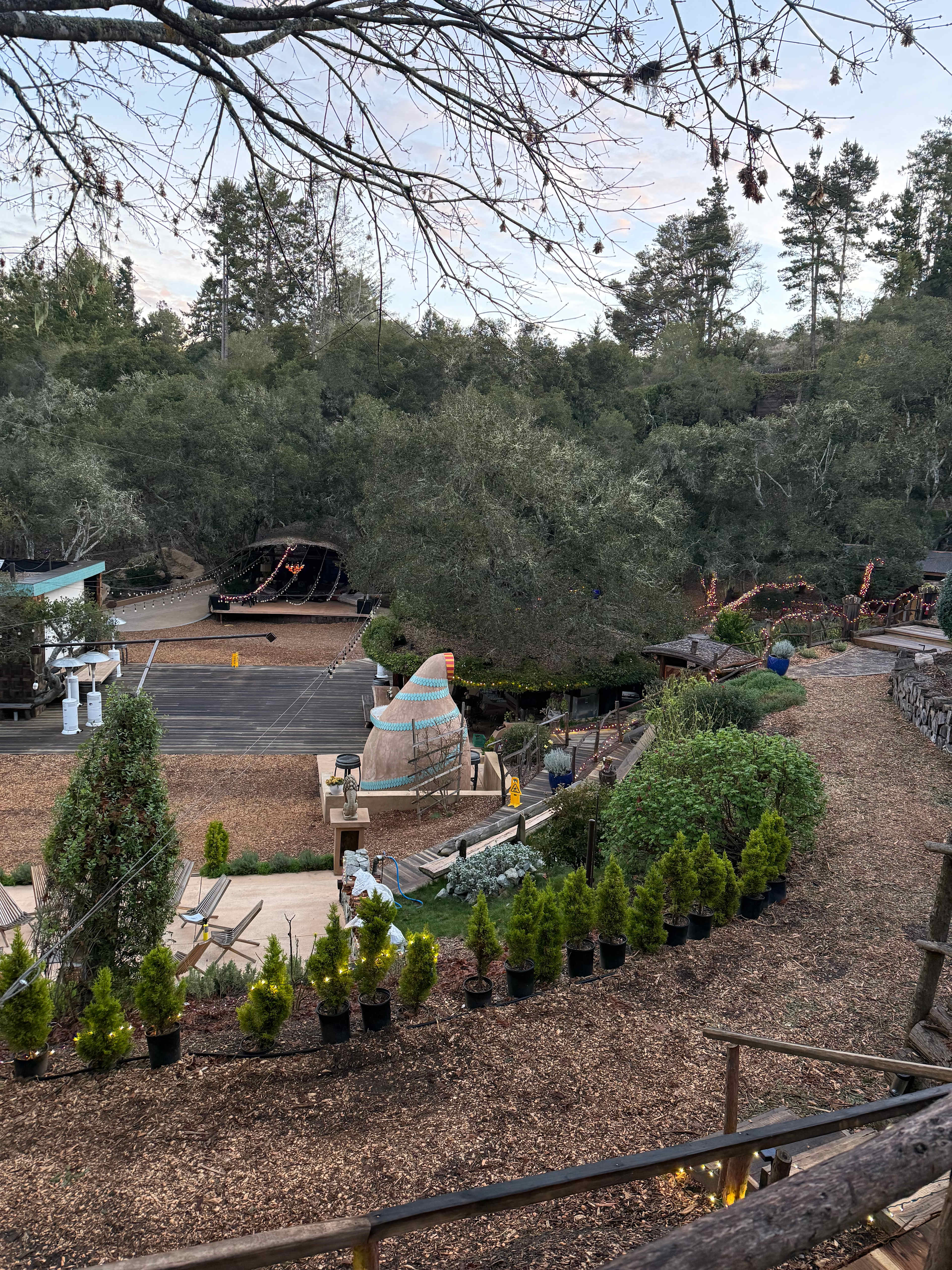 Picture of the site