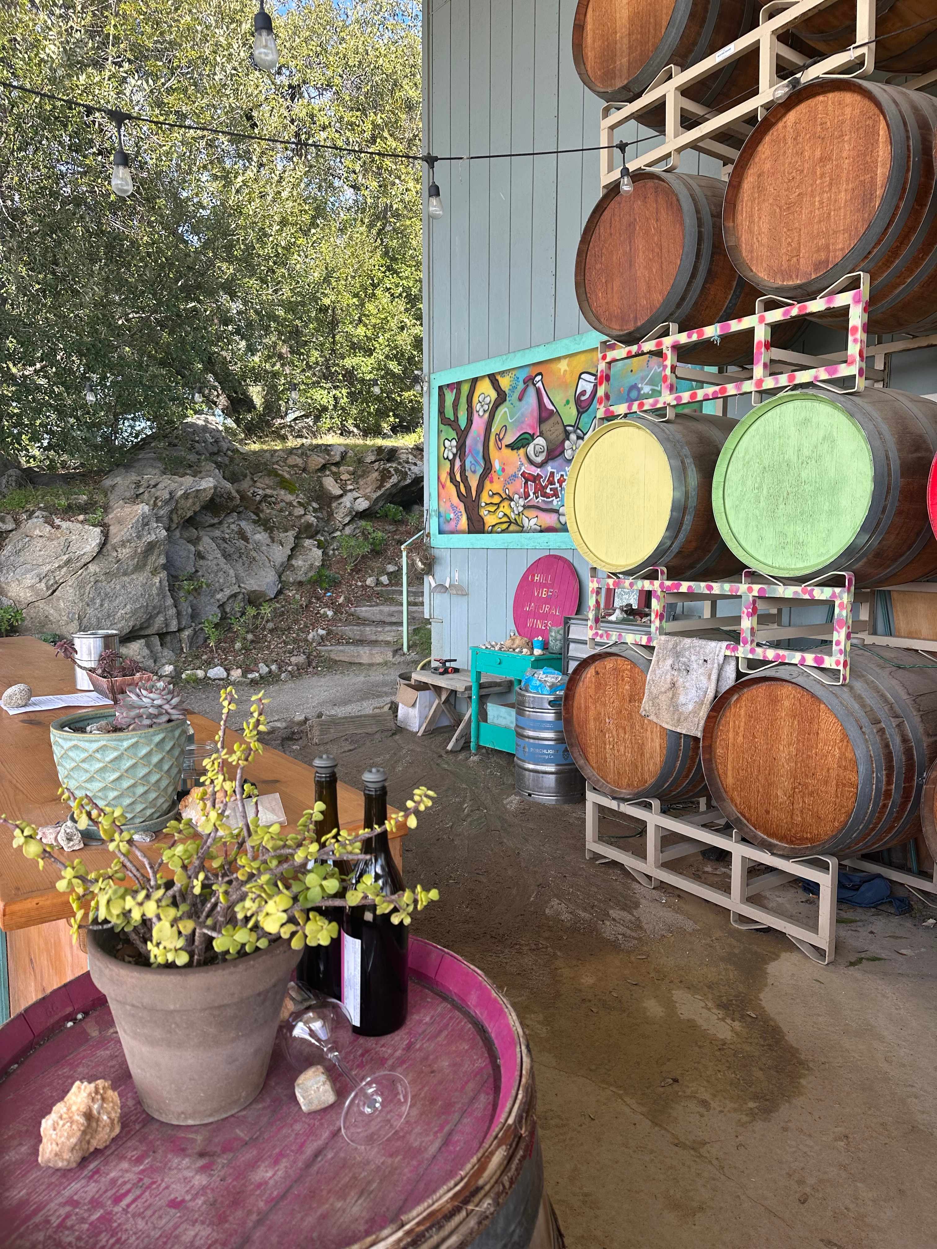 Camp 🏕 Gold Dust Vineyard