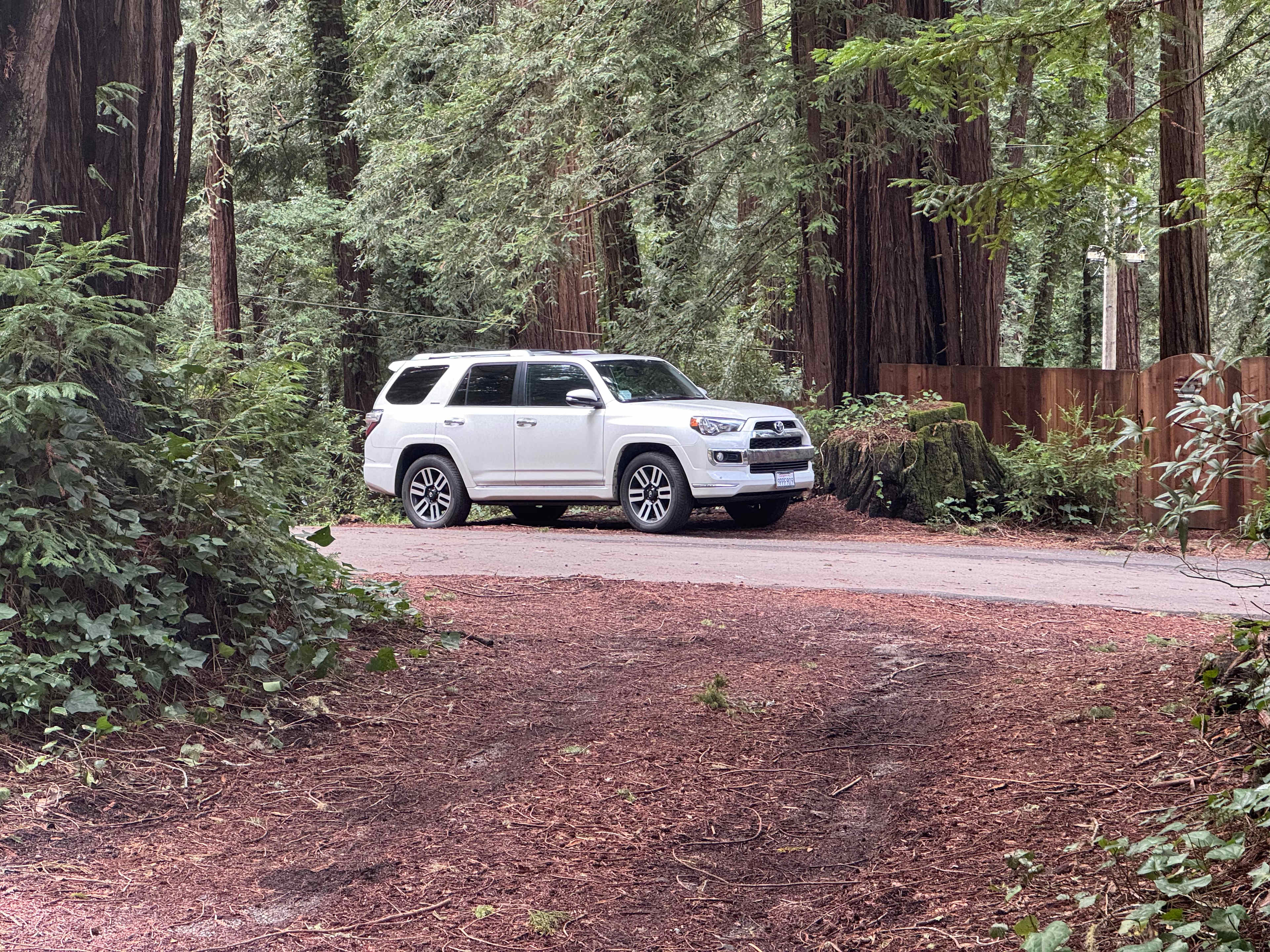 Tiny Home in the Redwoods!