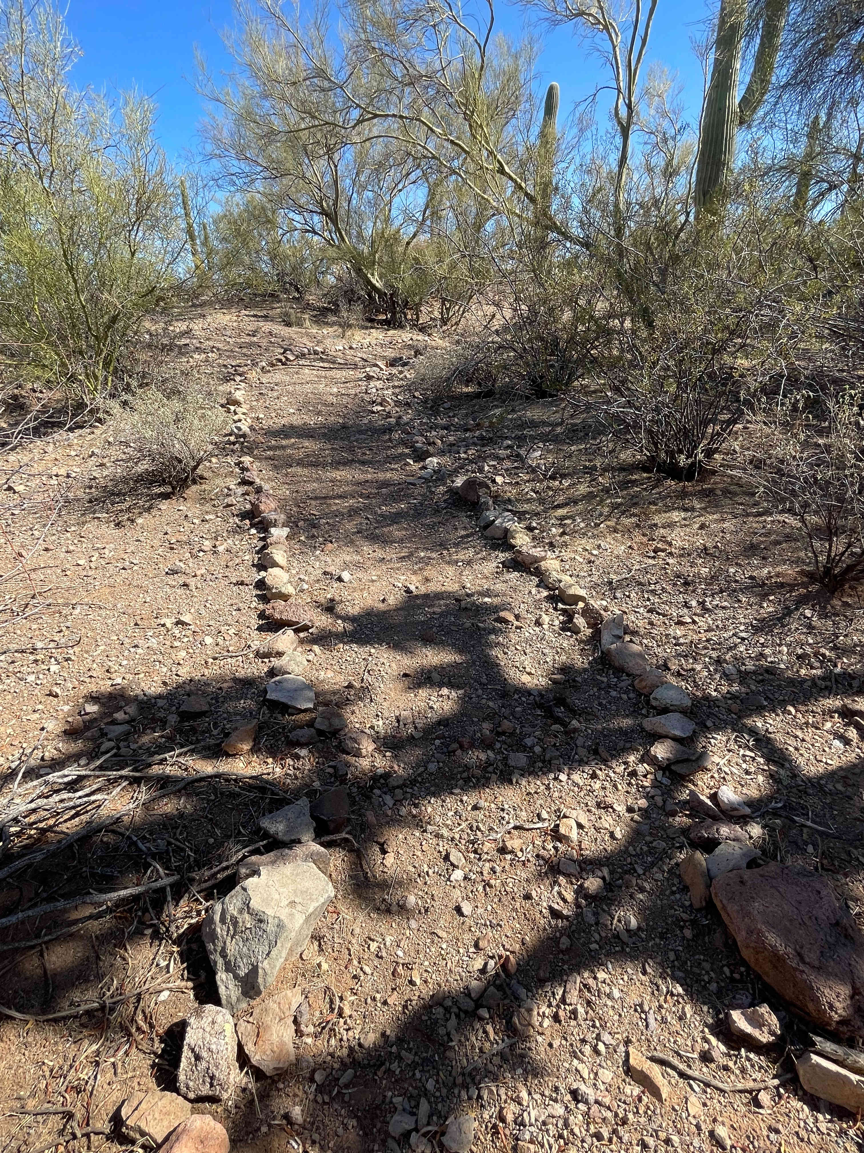 Trail to the labyrinth. 