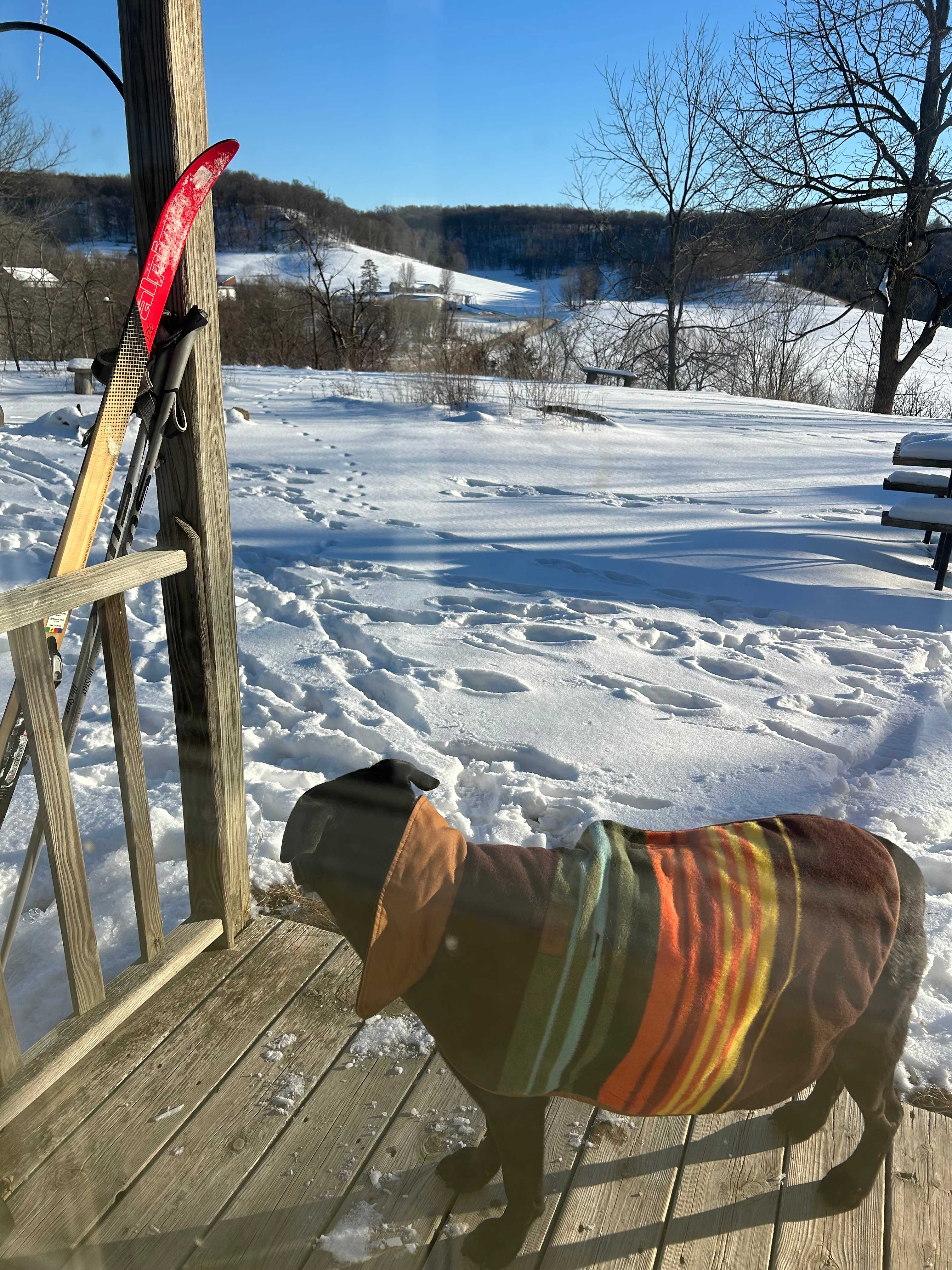 Austin taking in the view from the porch. 