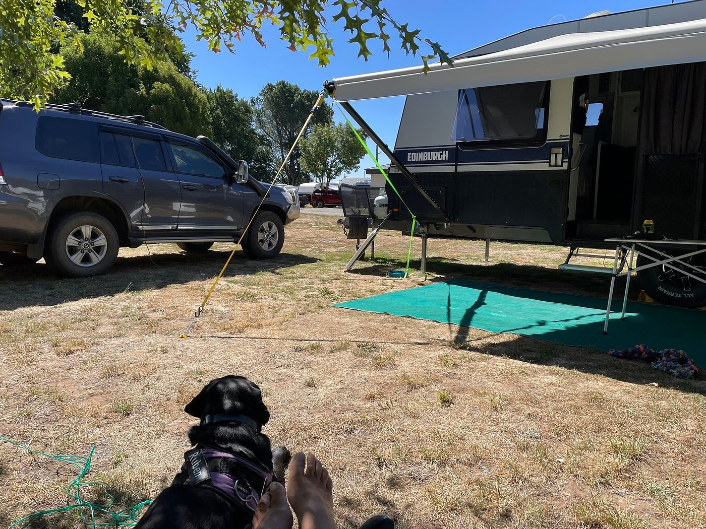 Ross Caravan Park