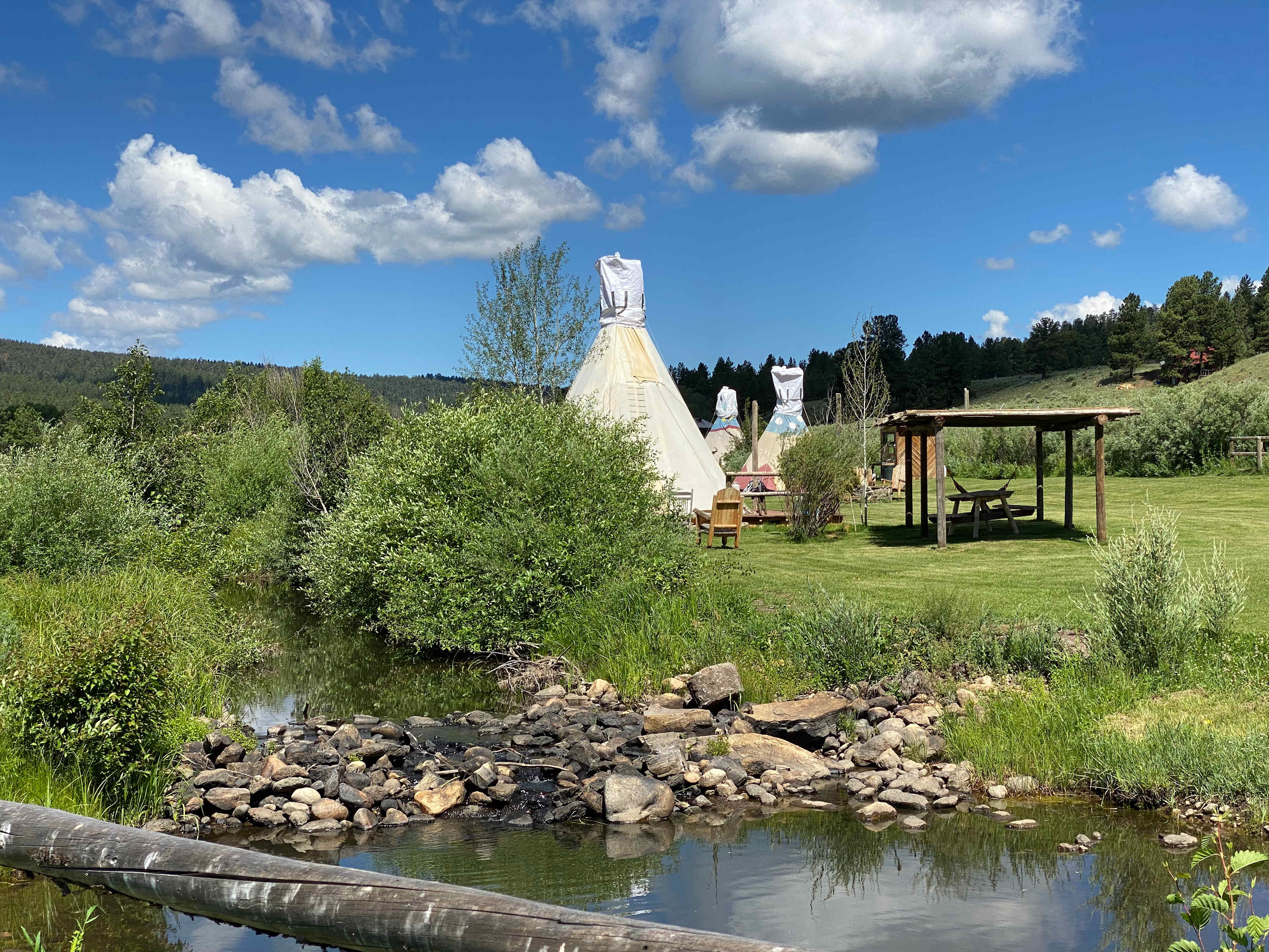 Picture of the site
