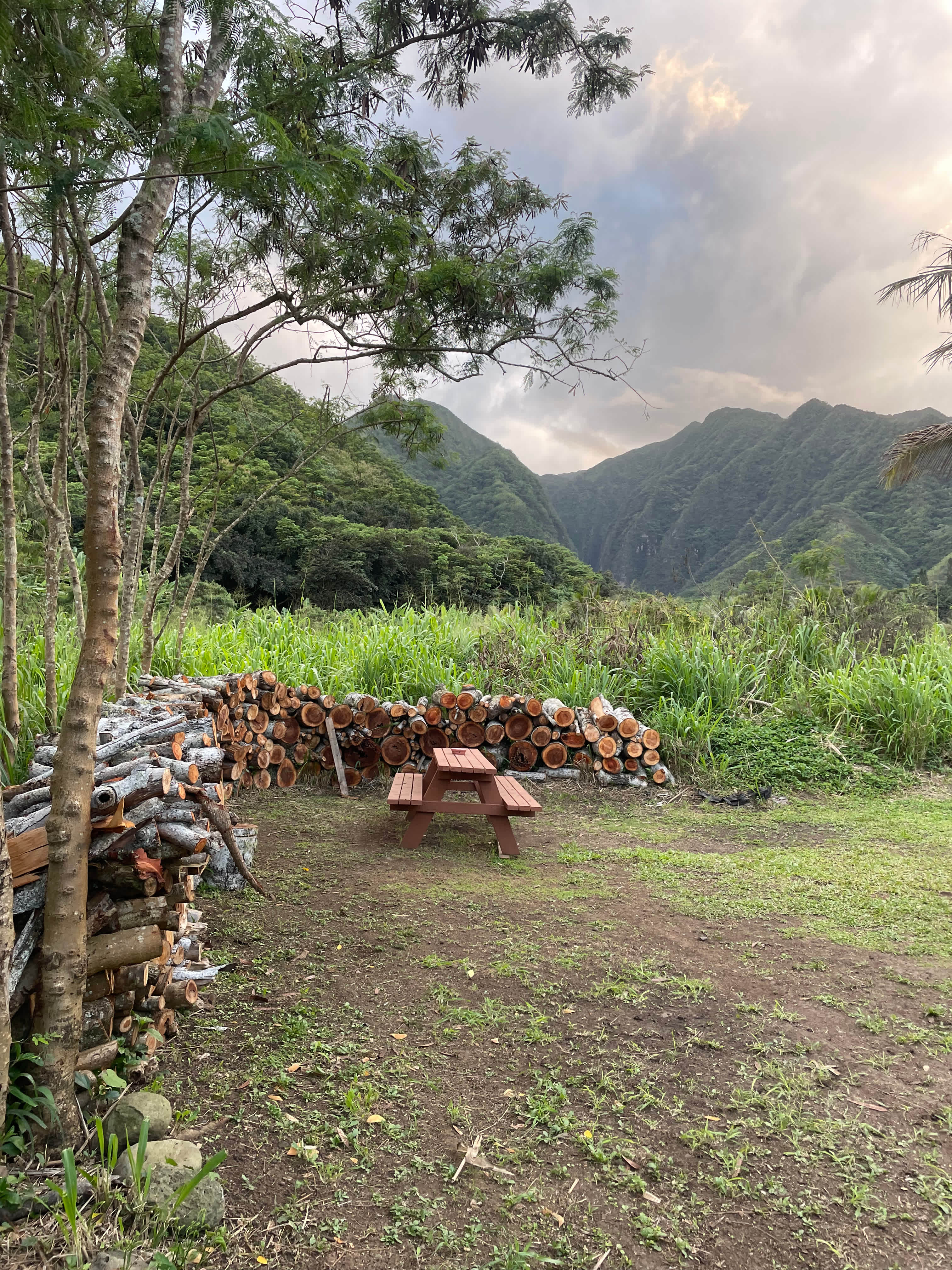 Zen Oaezis in Sacred Valley