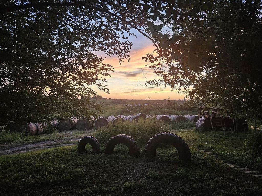 Sunset From the Porch
