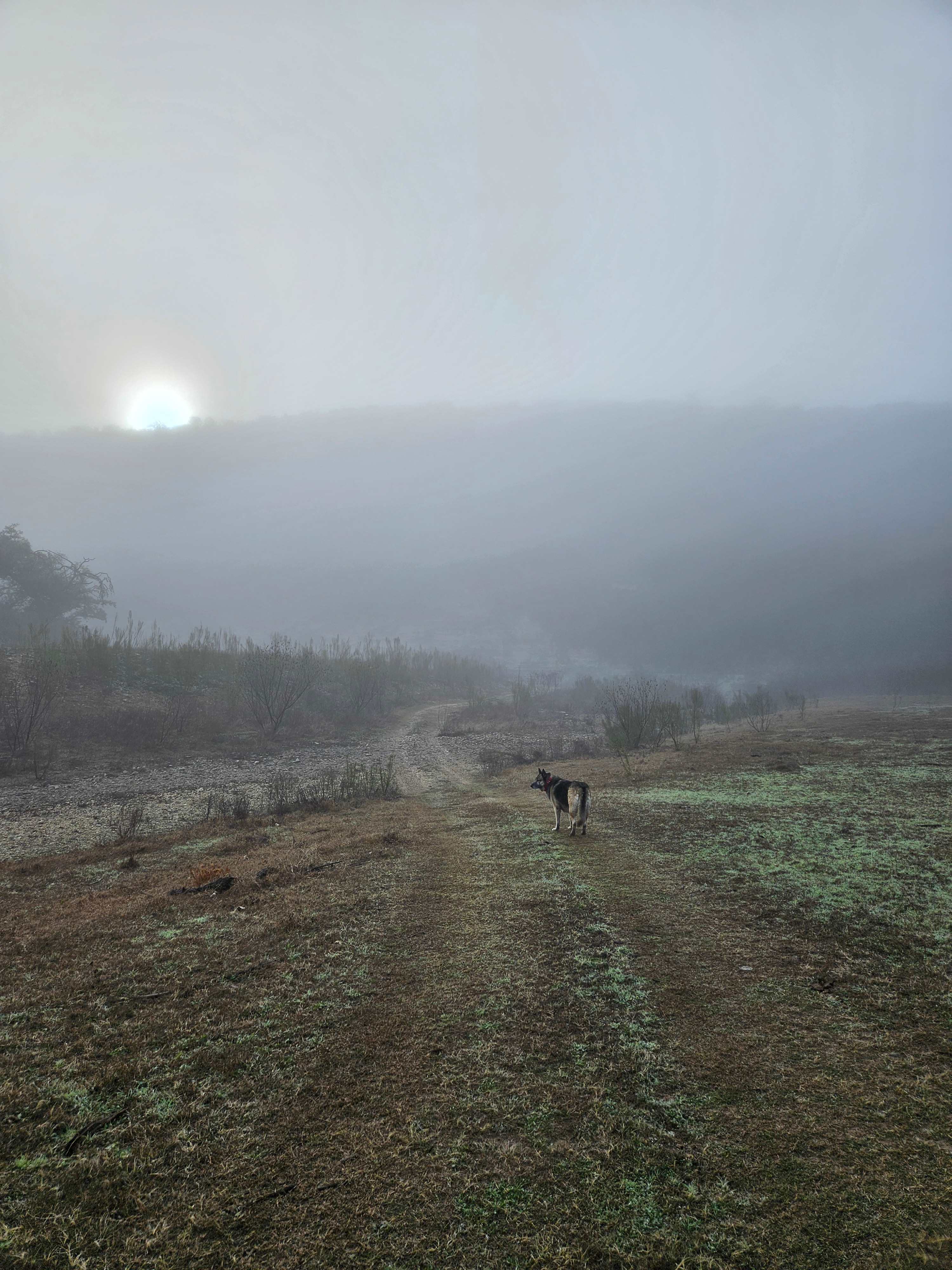 Haby Ranch
