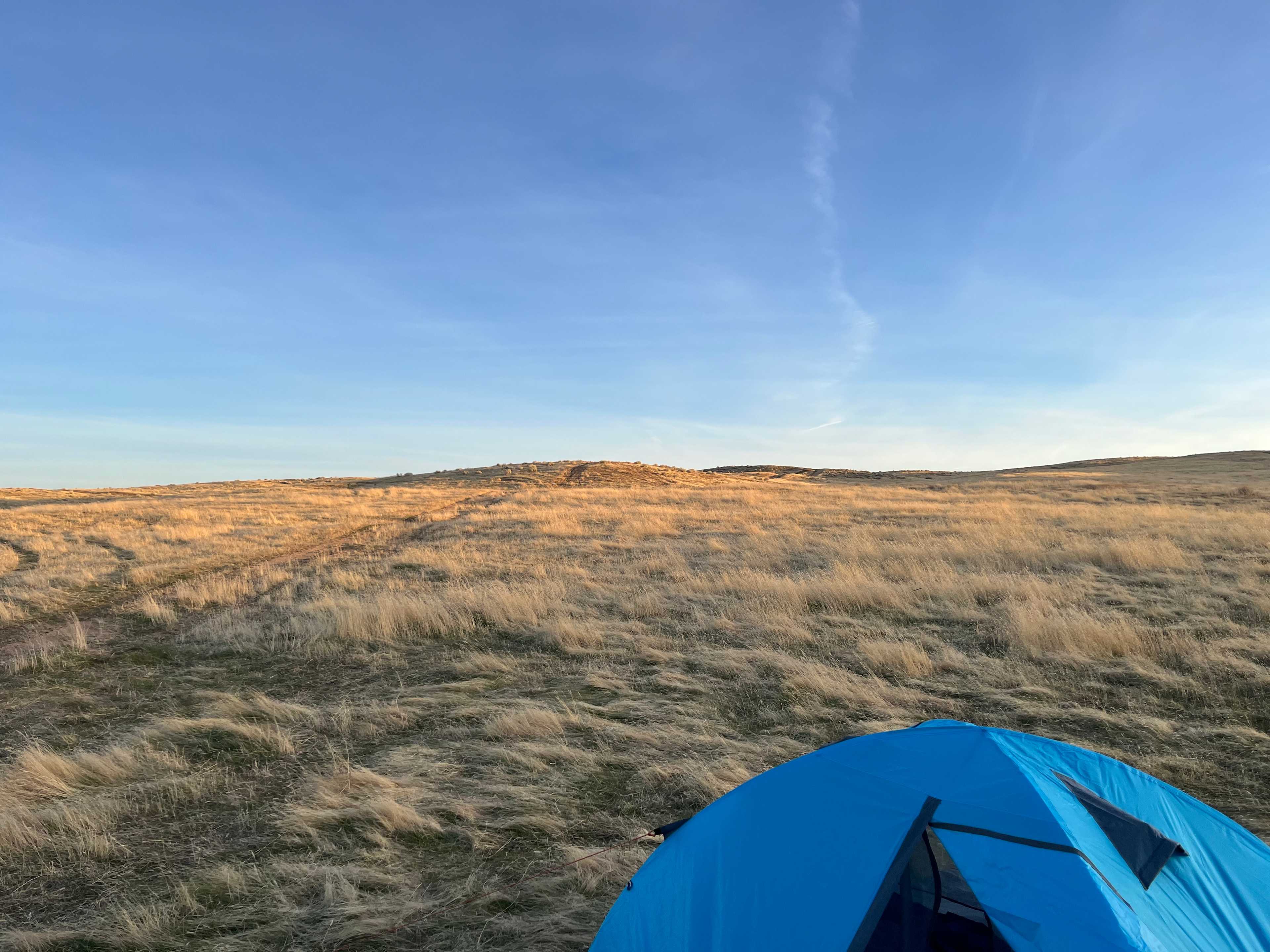 Site 3