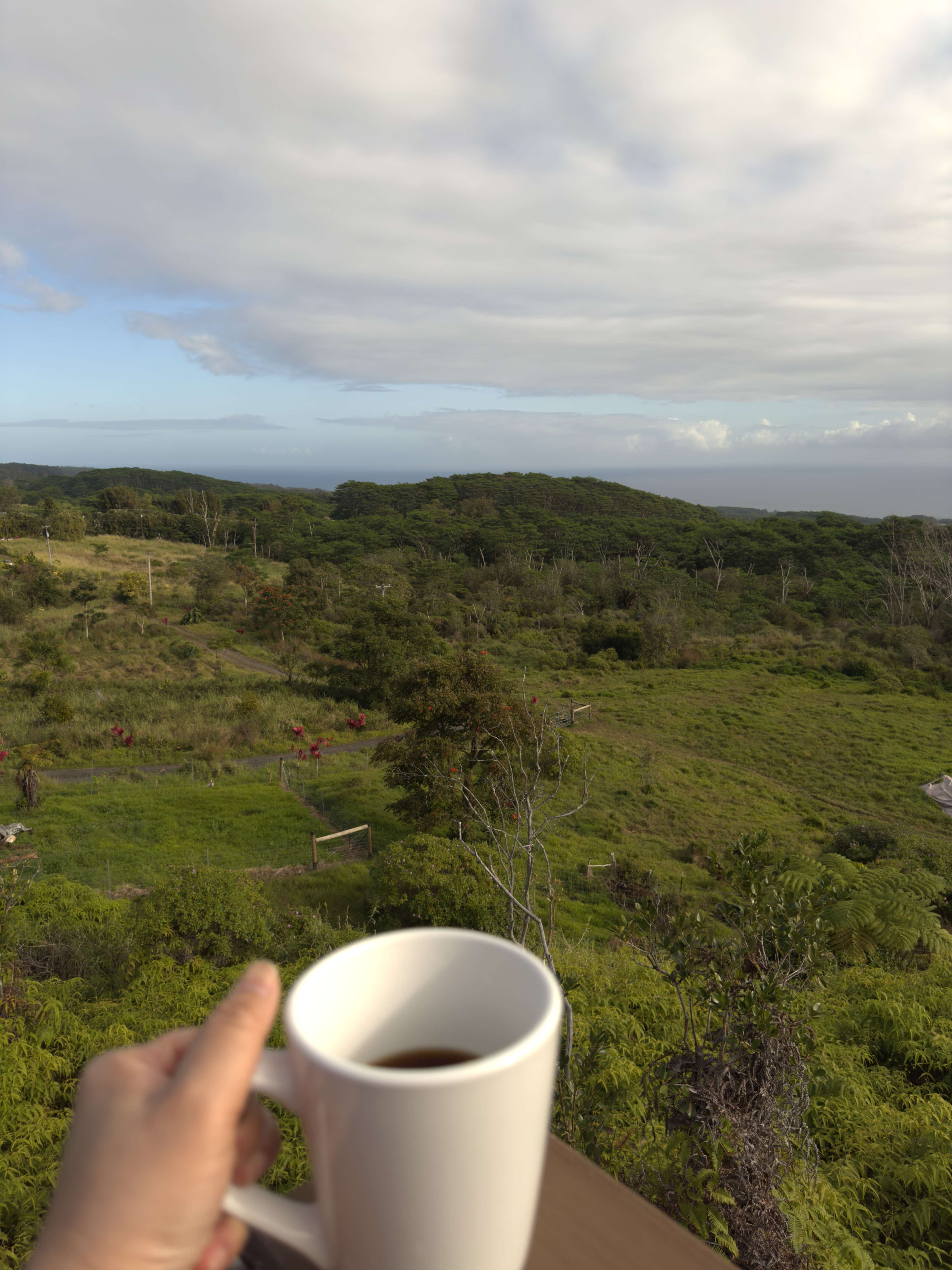 IO's NEST LOOKOUT on the Hamakua